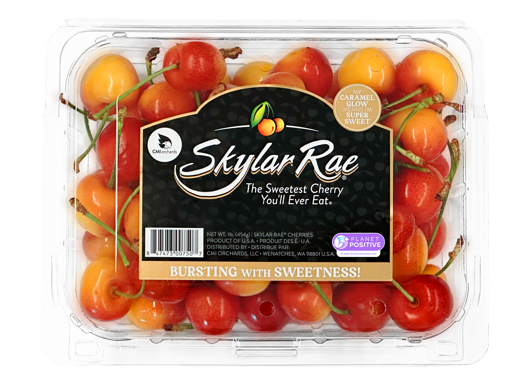 SkylarRar-Clamshell-1lb-Planet_Positive.png