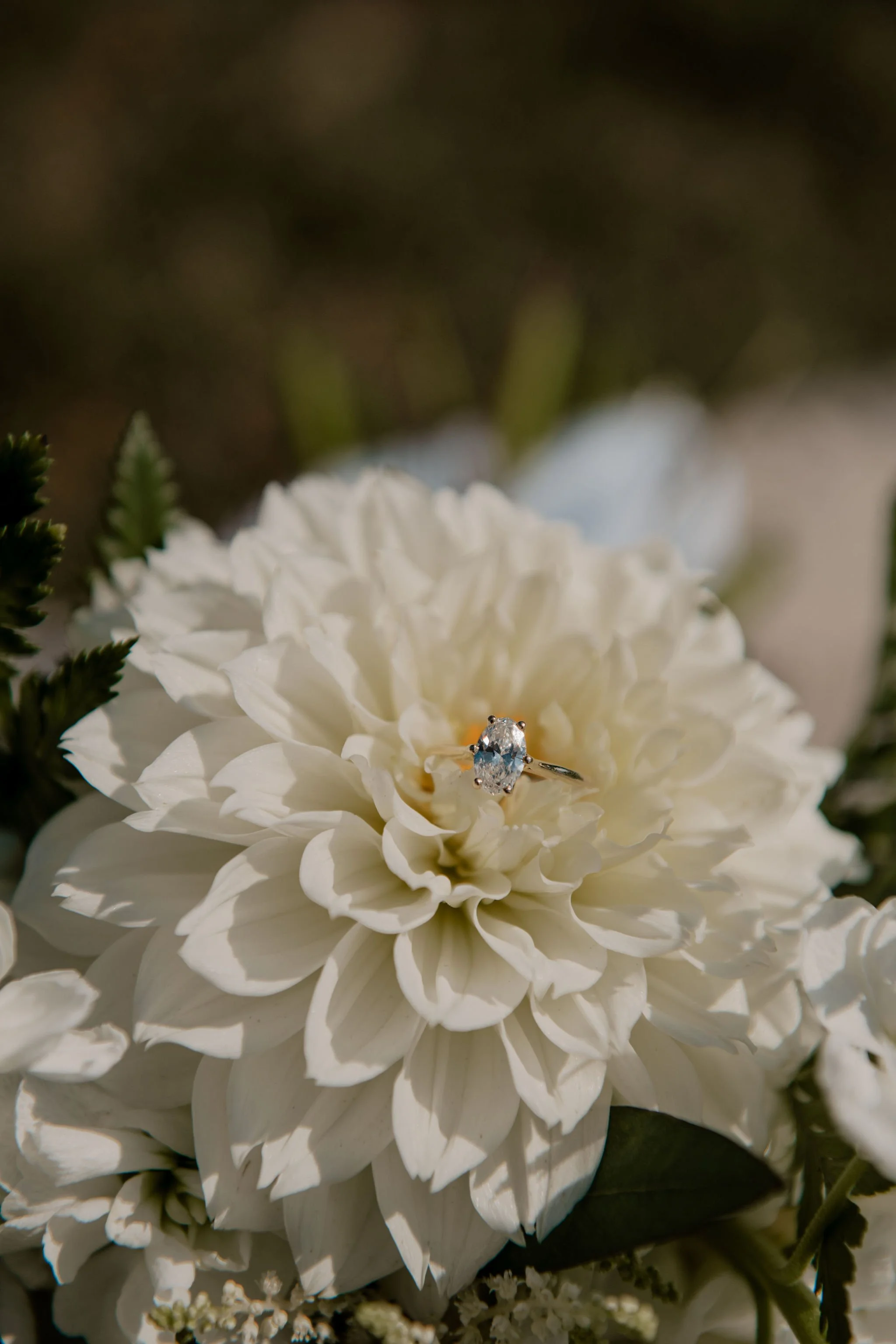 farm-at-wooden-springs-fall-wedding-gallery-0032.jpg