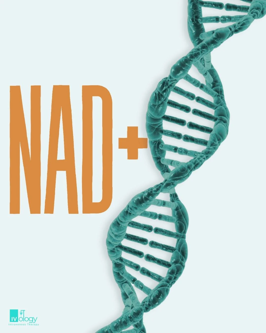 Siente los cambios por ti mism@.
Agenda tu cita hoy. Tu cuerpo lo va a agradecer. 💧

📲 Escr&iacute;benos por DM para agendar tu cita📅

#nad #ivtherapynad #ivtherapynadtherapy #ivologytijuana #ivtherapy