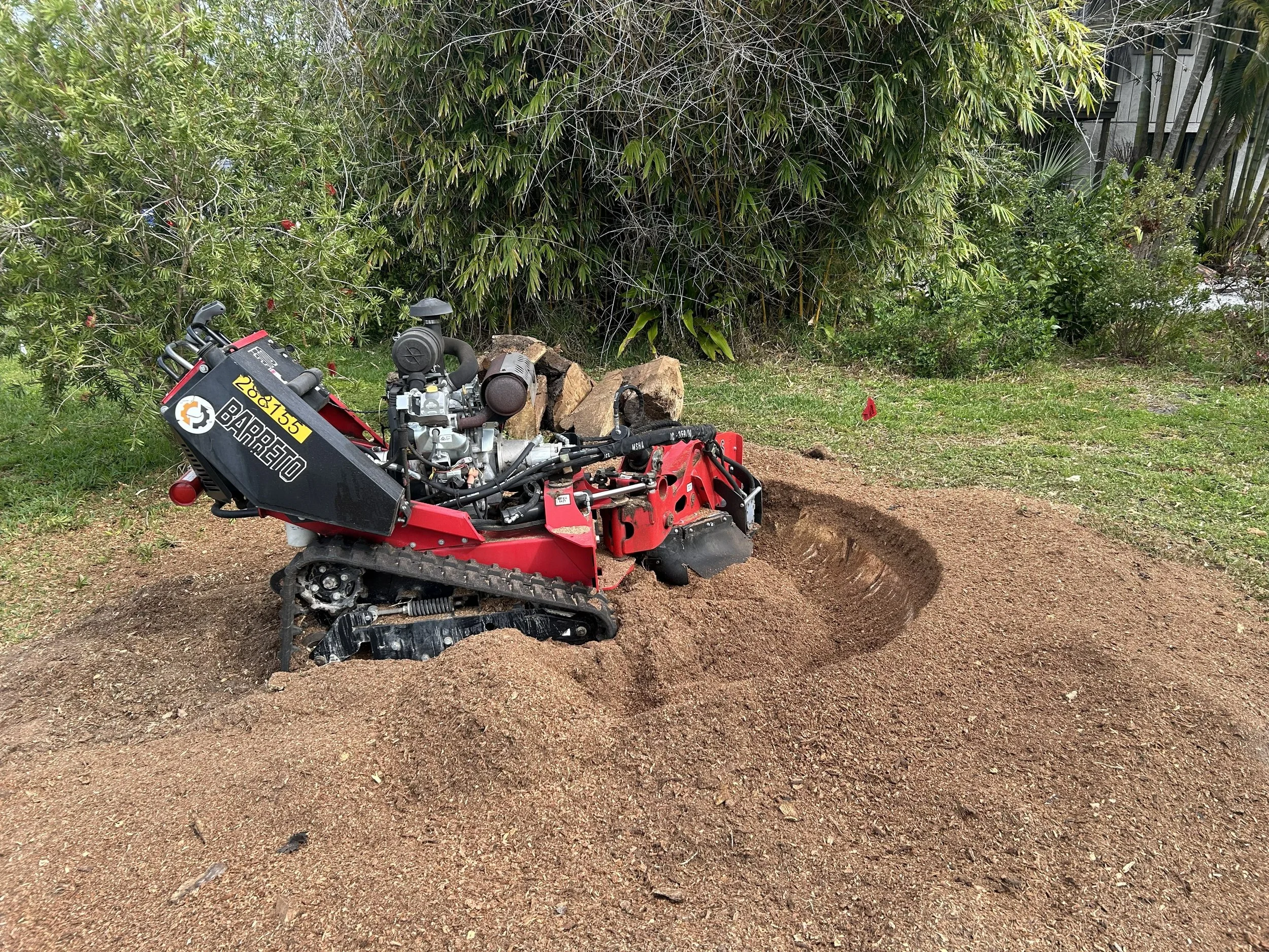 stump grinding.jpg