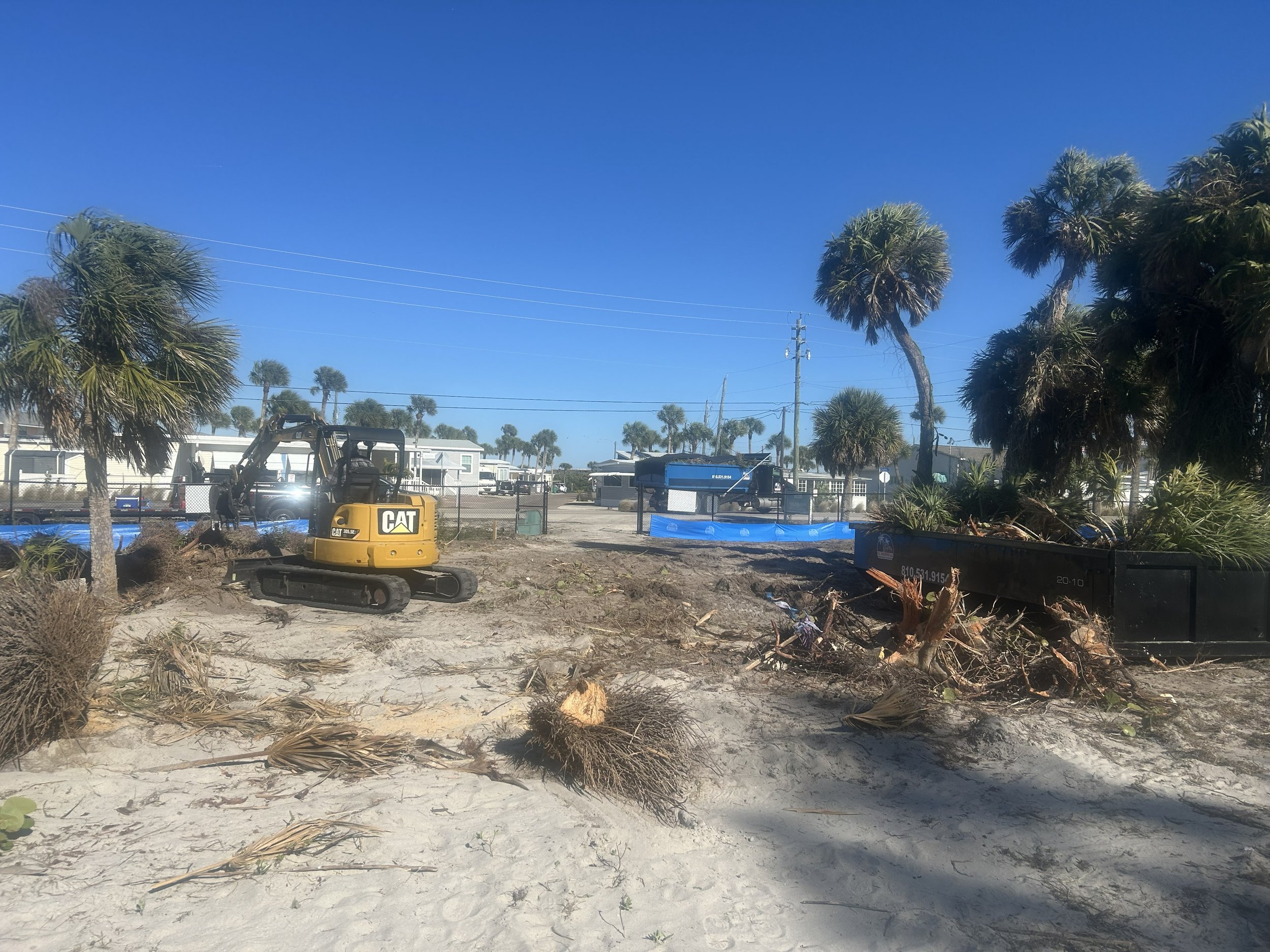 Land Clearing (2).jpg