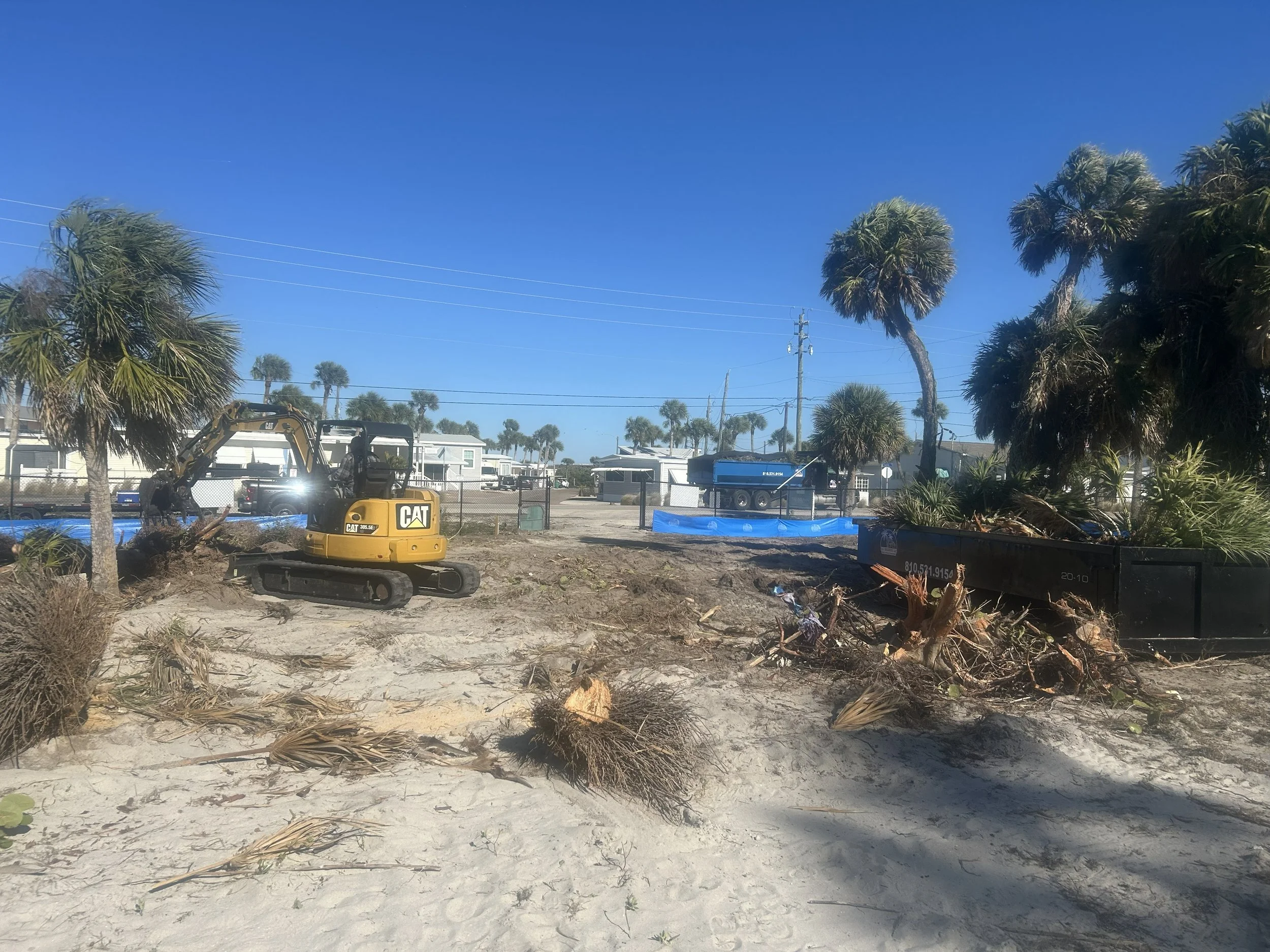 Land Clearing (3).jpg