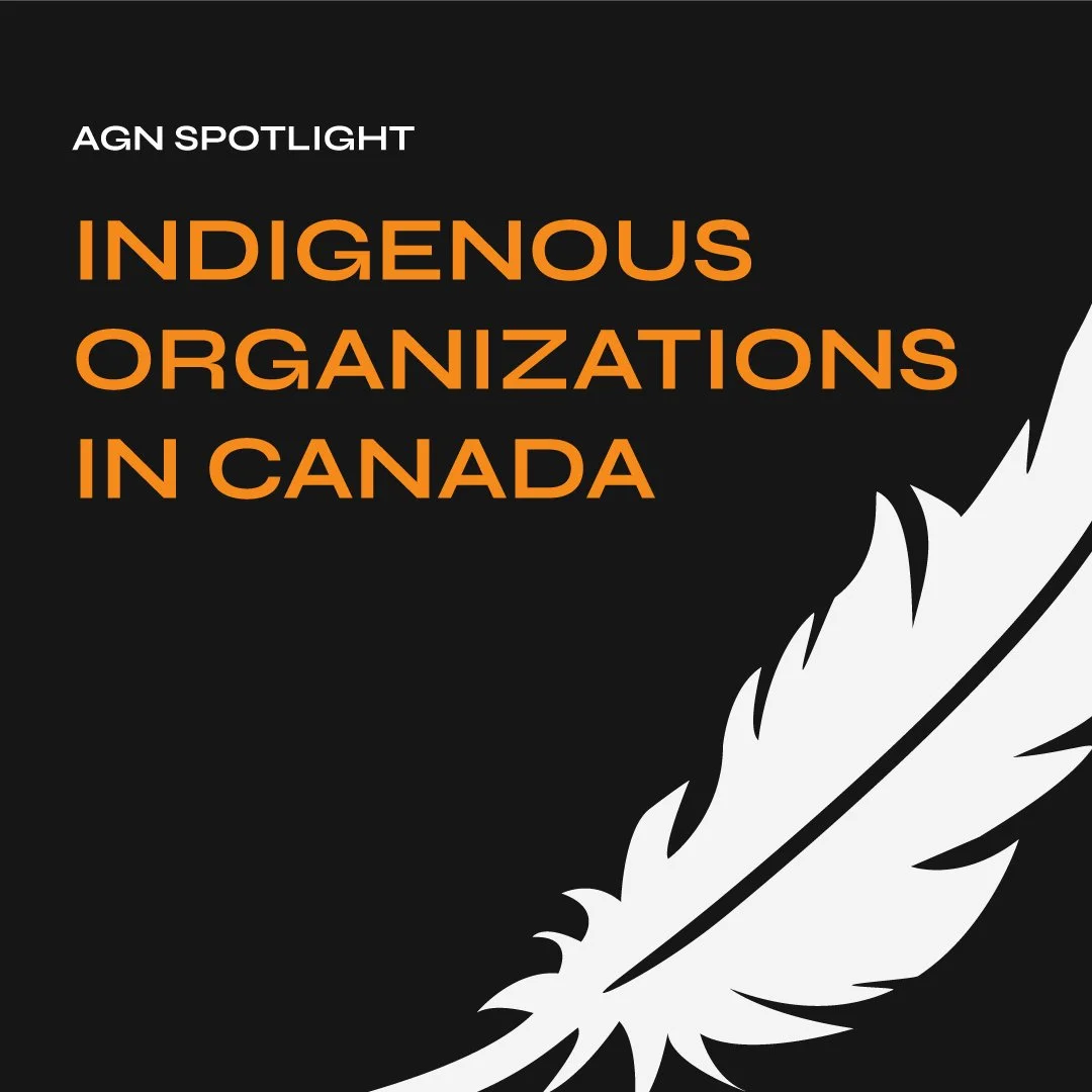 National Indigenous Peoples' Day: Organizations to Know and Support