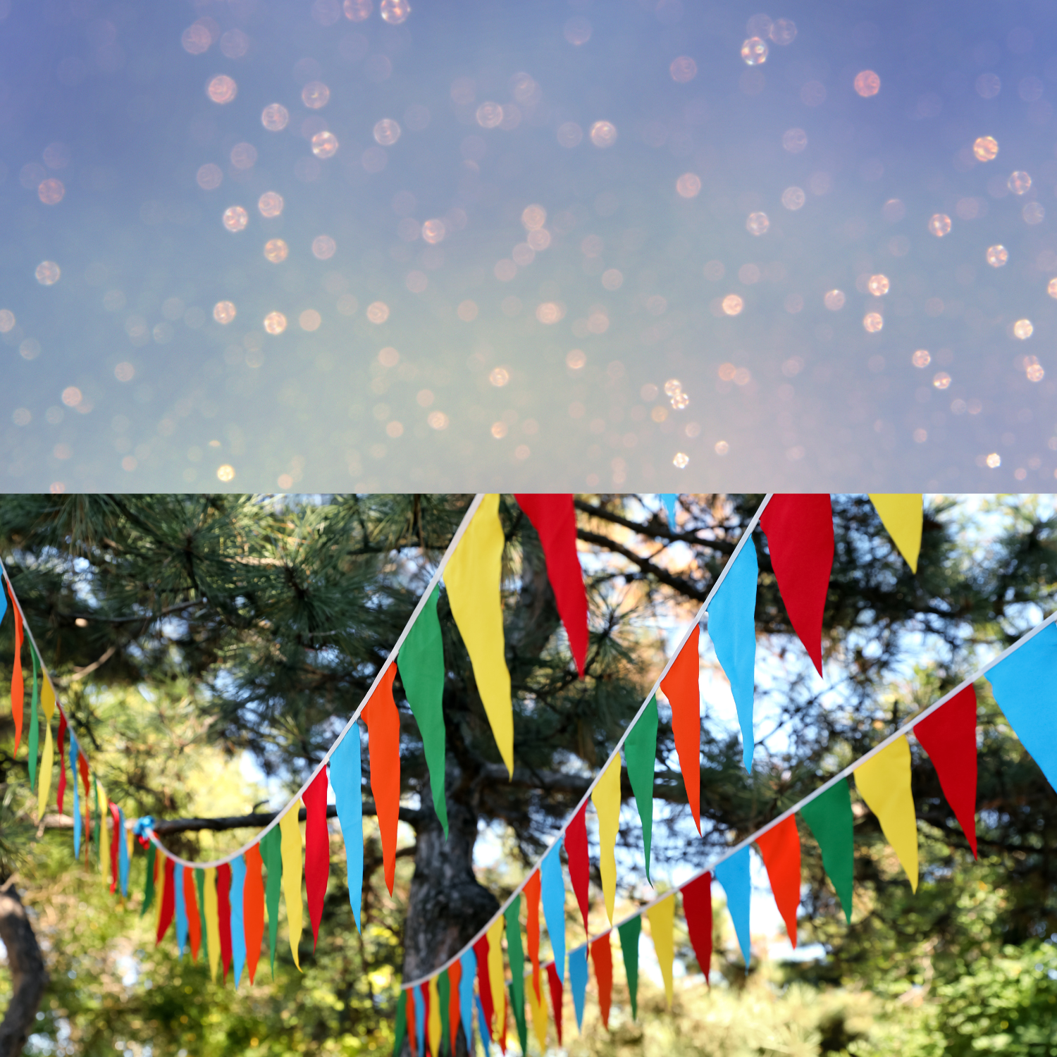 Roots and Resilience Winter Session 3