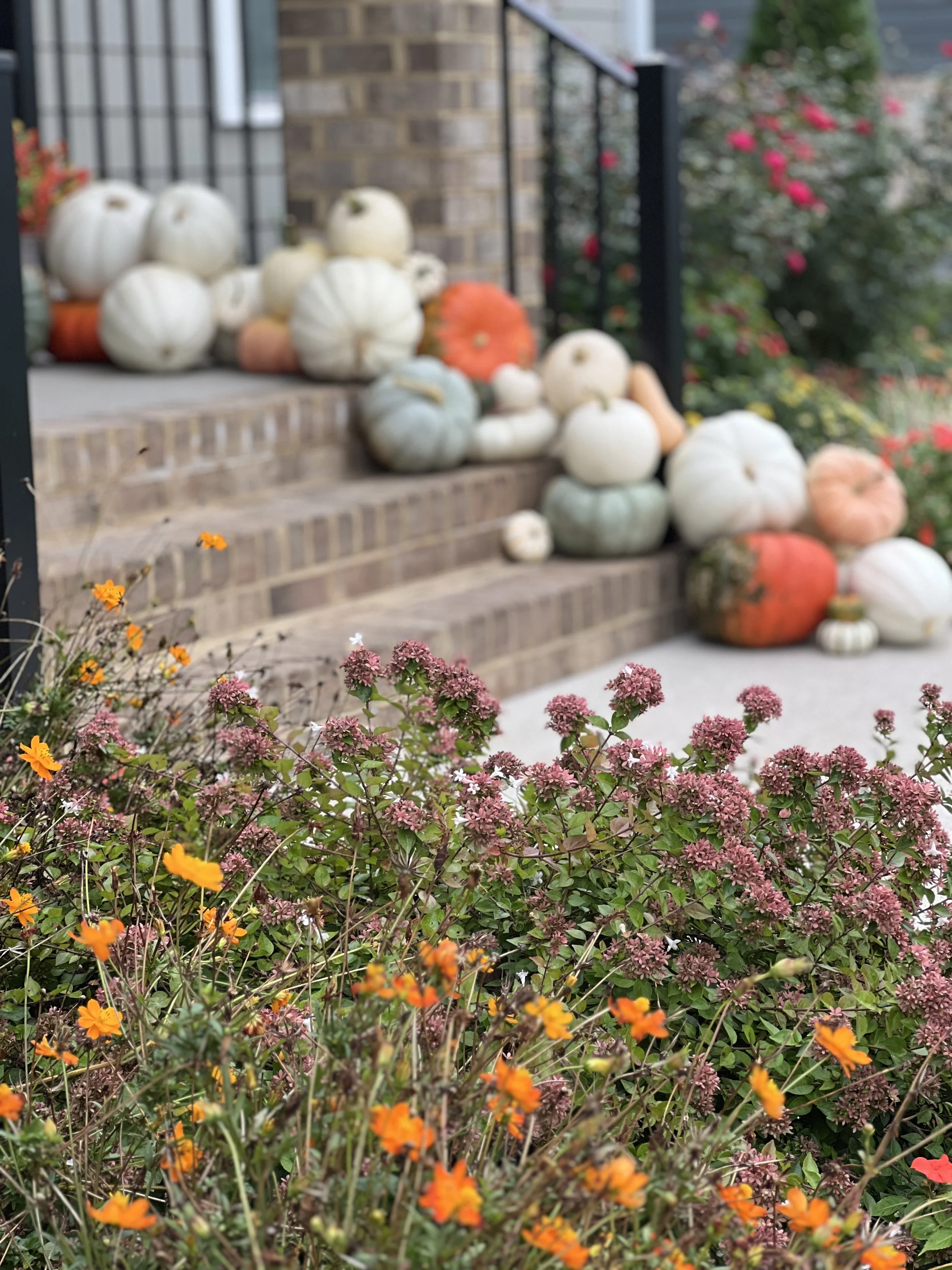 A collection of white, orange, green, and pink pumpkins arranged on brick stairs outdoors, with a garden area featuring flowers and greenery in the background.
