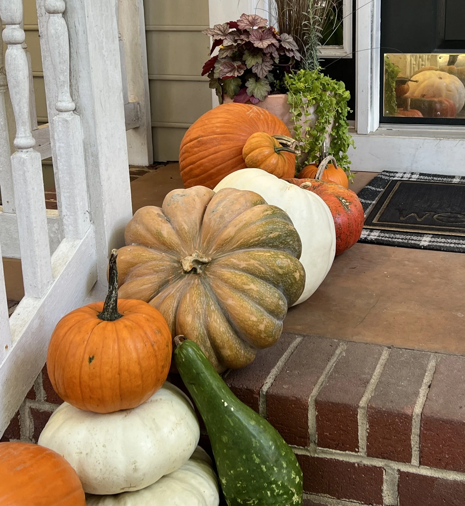 A collection of various pumpkins and gourds placed on a porch step, with potted plants on a windowsill and a mat on the brick porch.