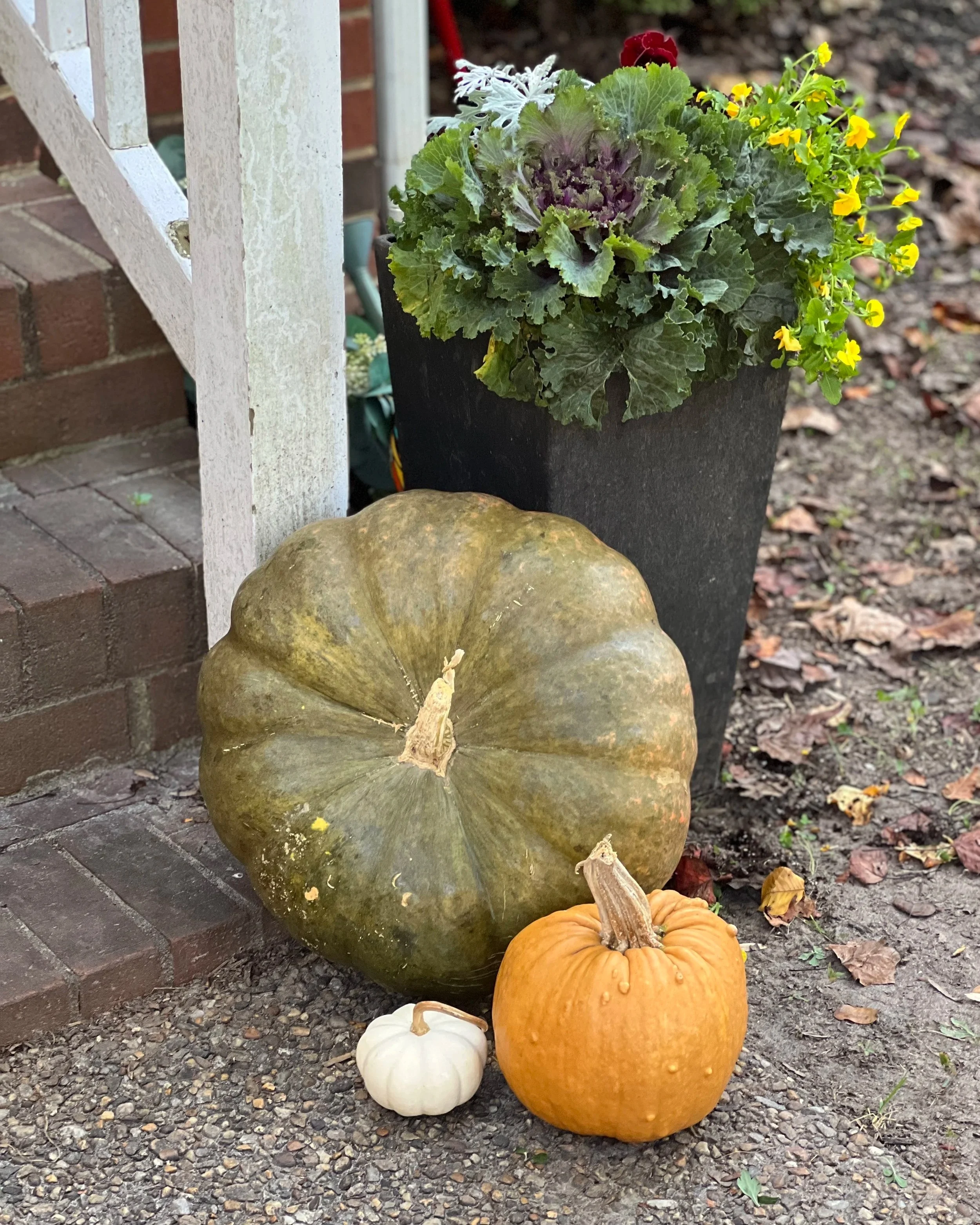 Fall harvest display with pumpkins and gourds of various sizes and colors, including orange, white, and green, arranged on gravel ground near a brick wall and a white wooden structure.