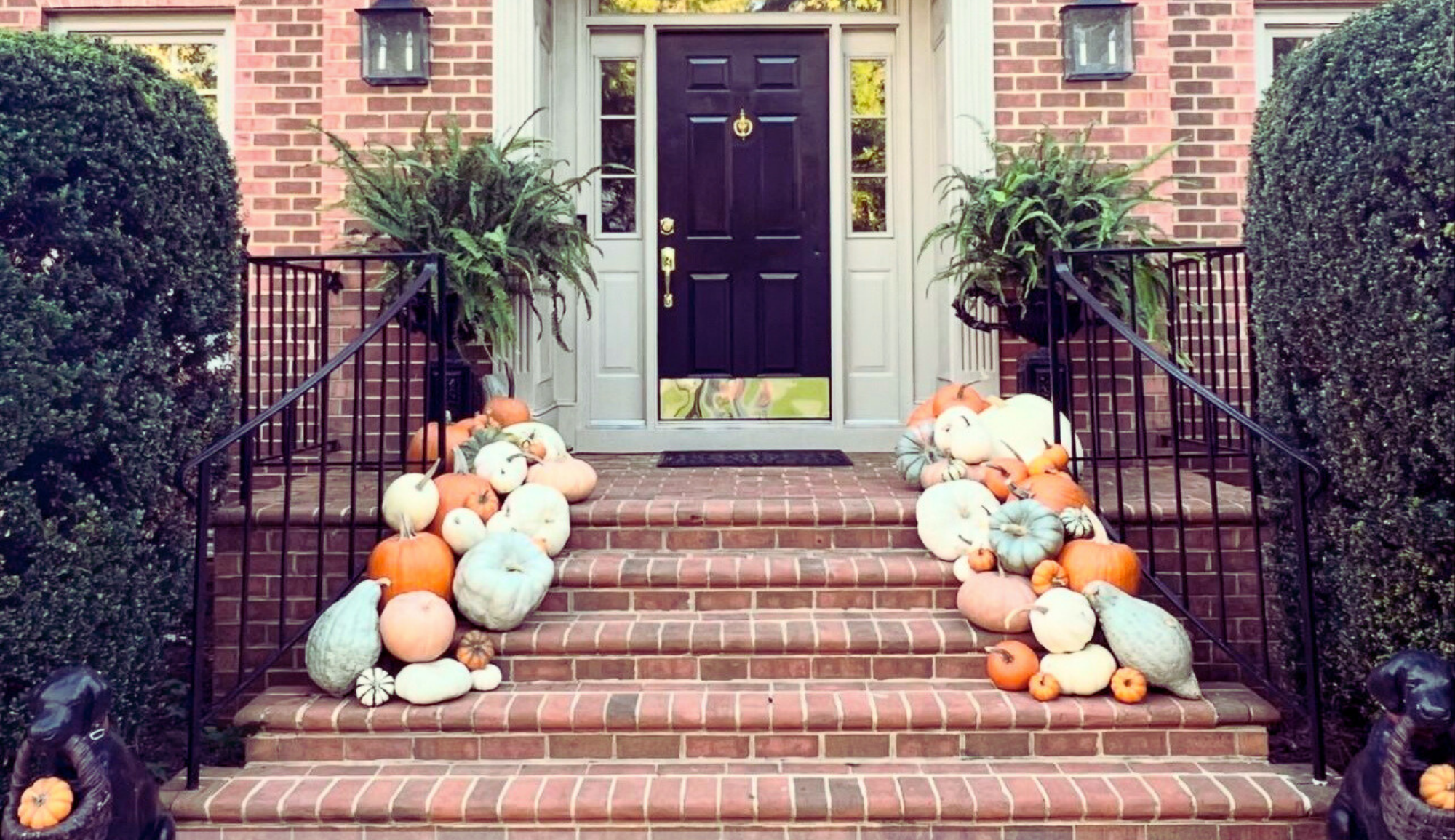 Brick staircase decorated with pumpkins, gourds, and squash leading up to a front door flanked by two black lanterns and potted plants.