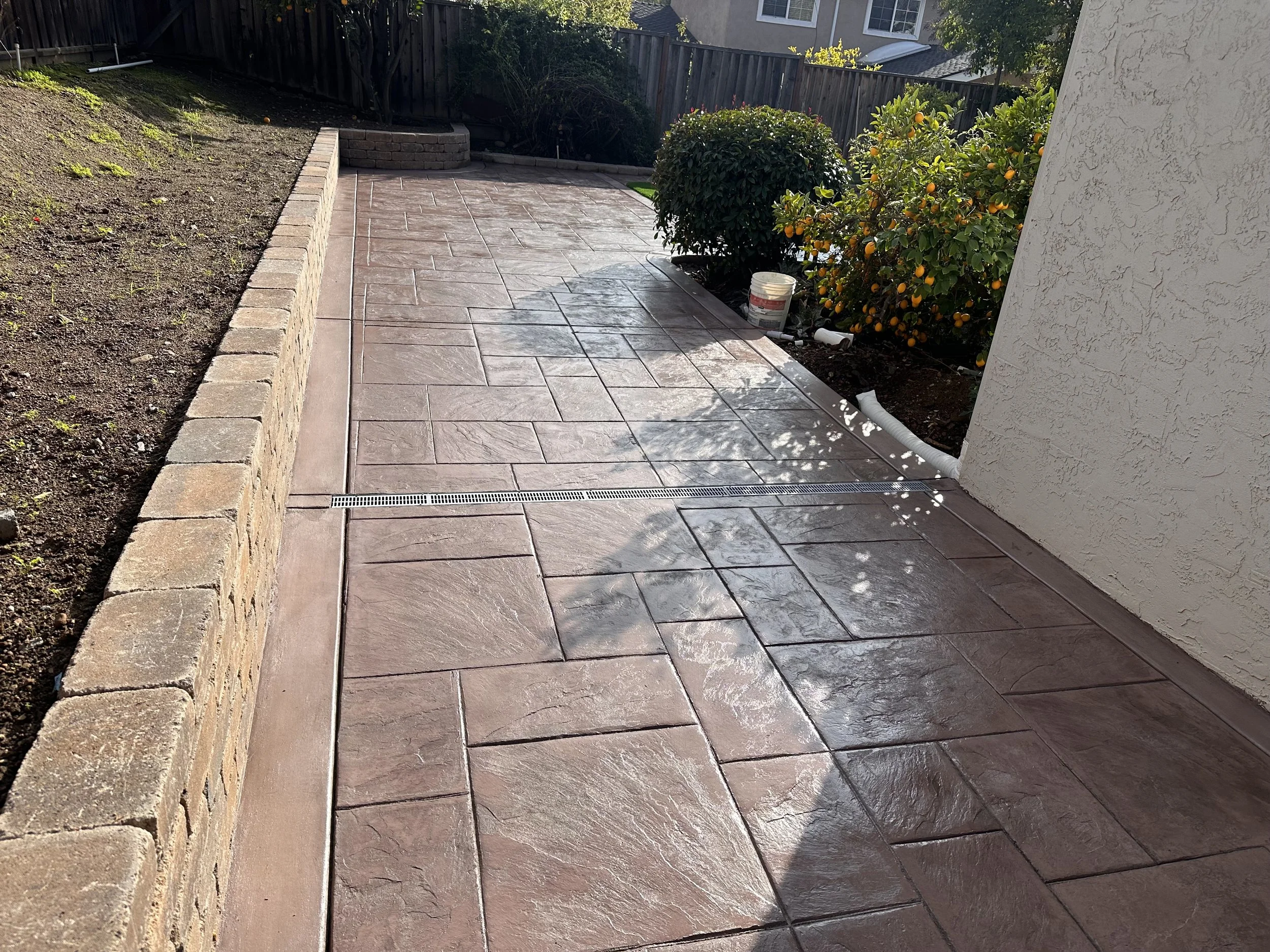 Recently sealed concrete patio with a drain, bordered by a stone wall and a garden bed with orange trees, in sunlight.