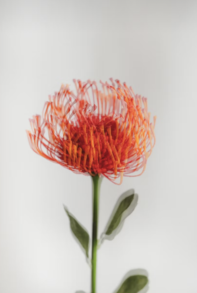 Building Inbound Momentum