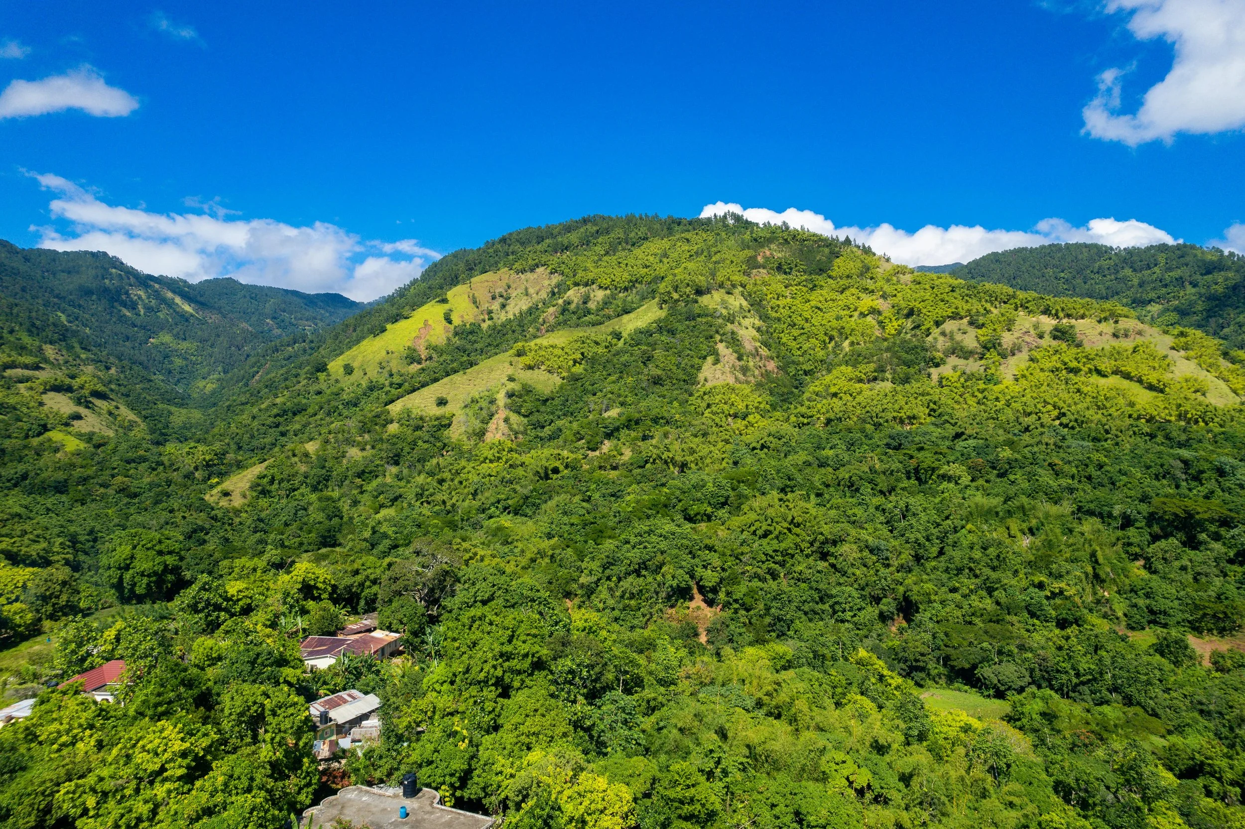 Jamaica: The Heartbeat of the Caribbean