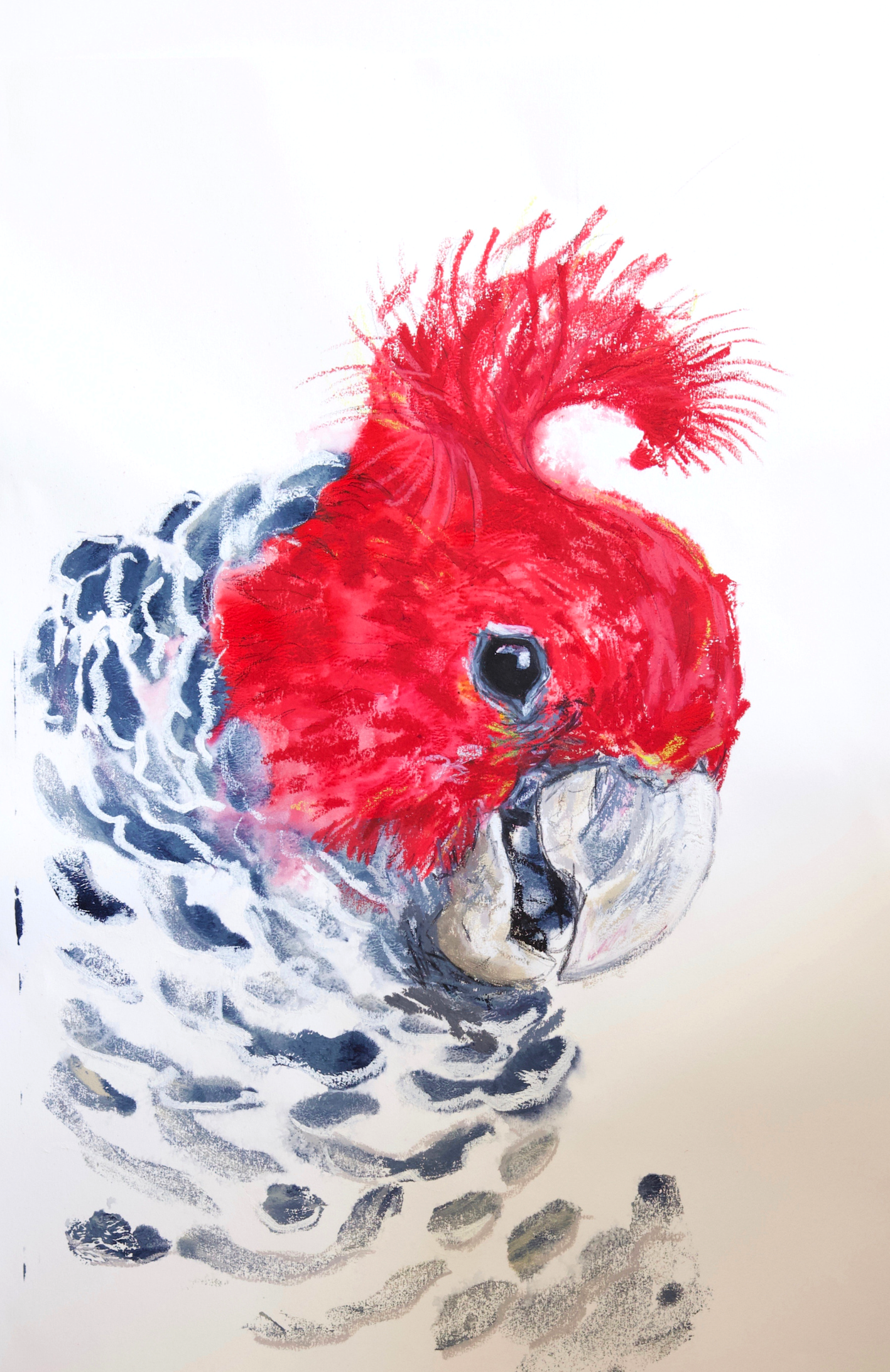 A watercolor painting of a cockatoo with a red head and crest, gray and white body, and black beak, standing amidst water ripples.
