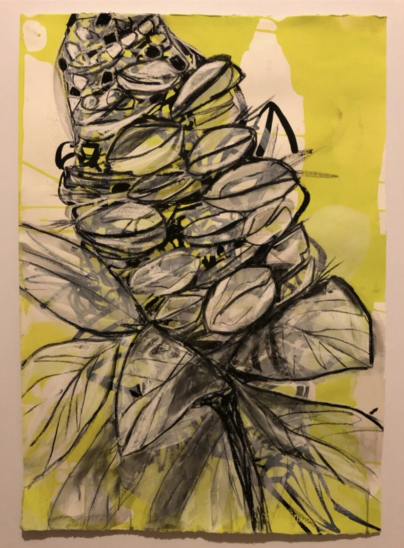 A sketch of a bunch of grapes and leaves with a yellow background.