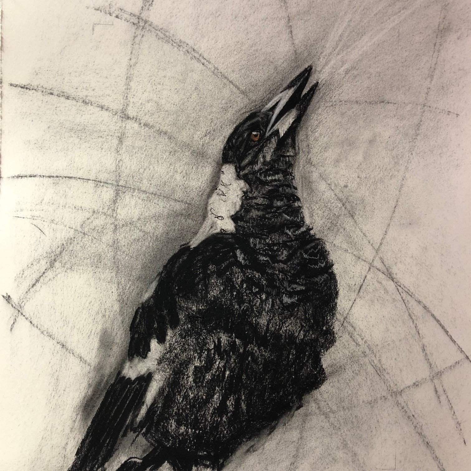 FINDING HER VOICE | Charcoal on paper | 44x36 cm