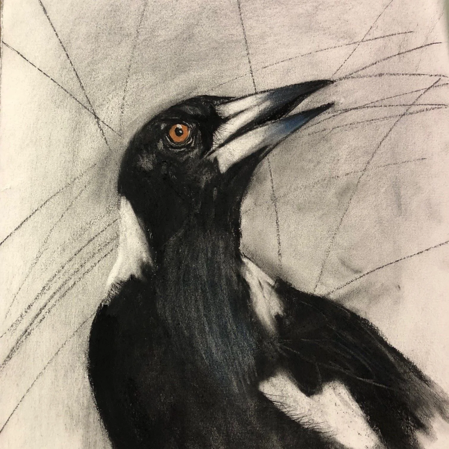 MY ARC OF HAPPINESS | Charcoal on paper | 44x36cm