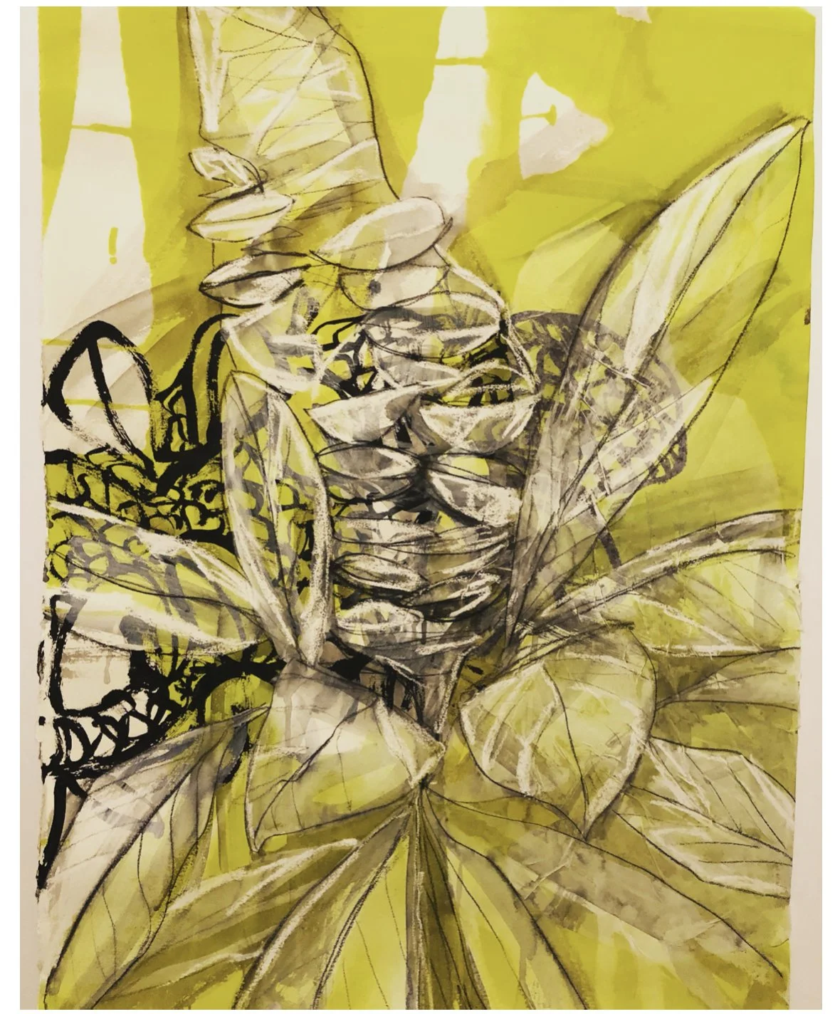 A sketch or painting of a plant featuring leaves and a central flower or seed pod, with abstract yellow background.