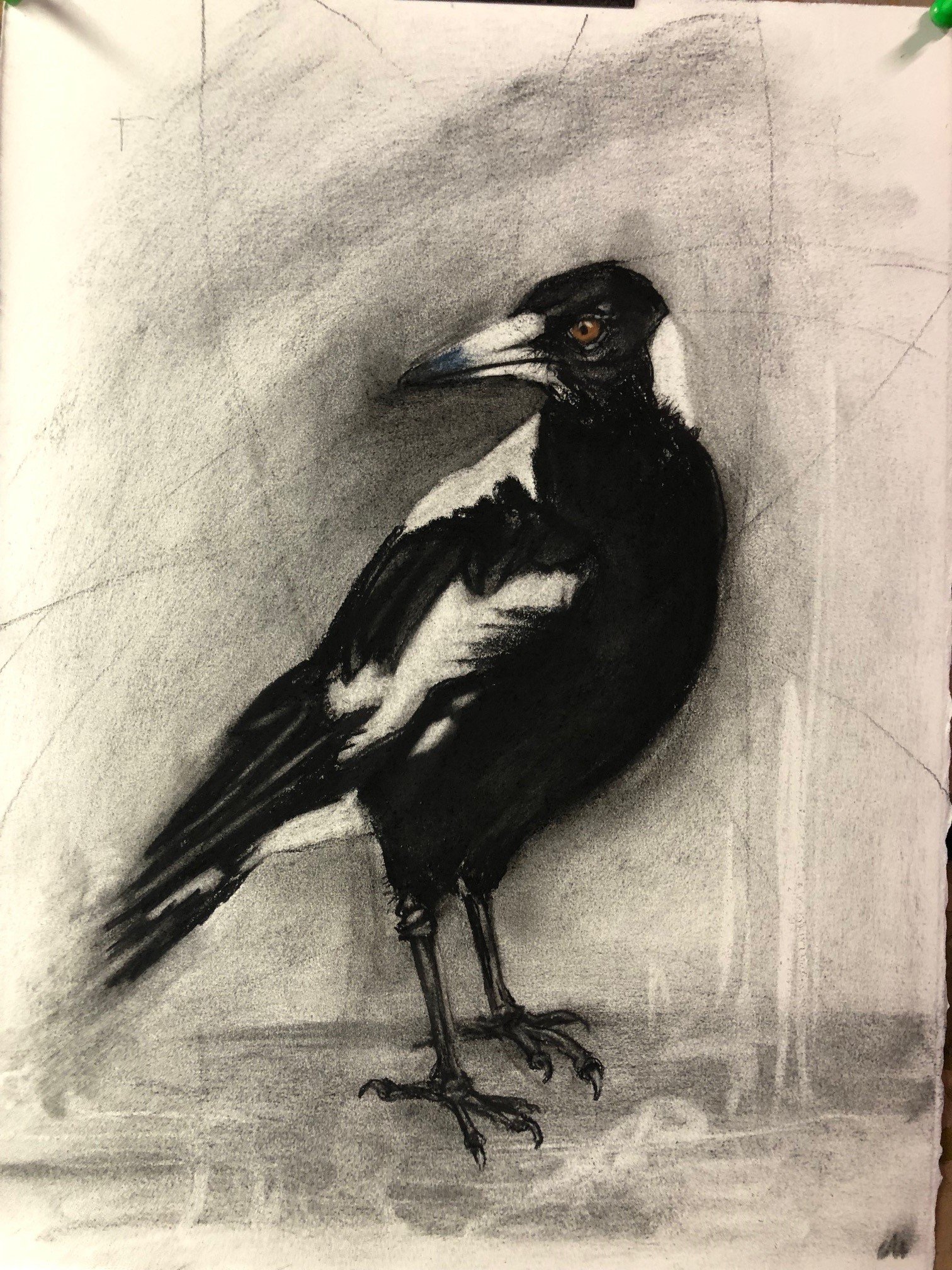 HERE I AM | Charcoal on paper | 44x36cm