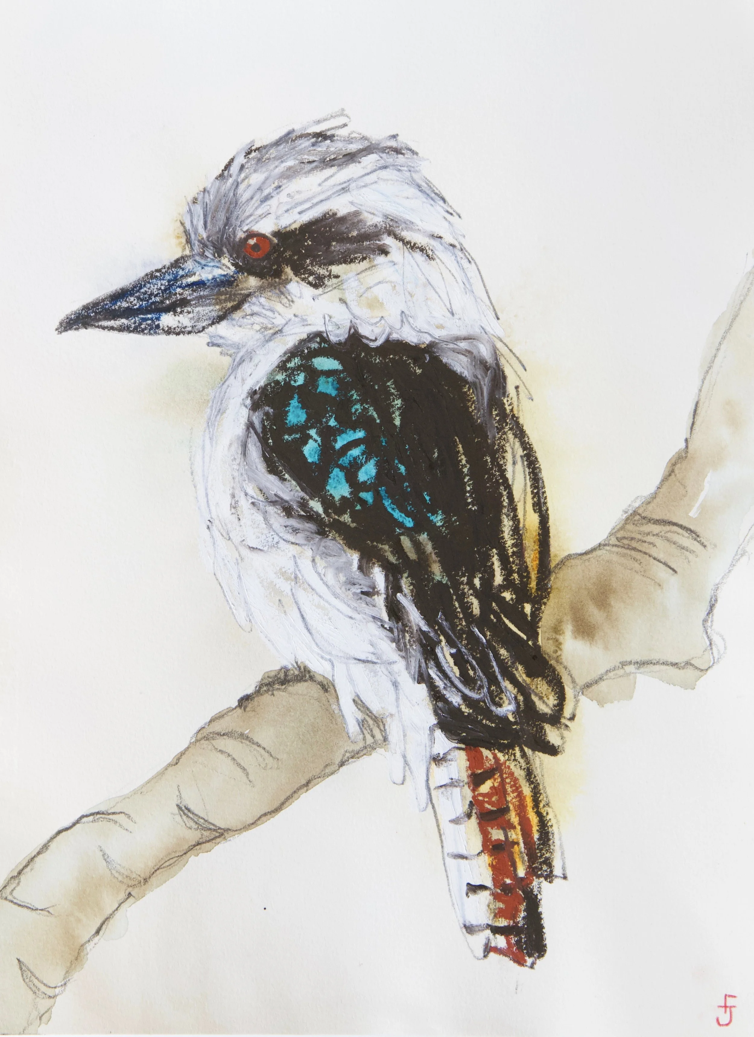 A detailed illustration of a bird perched on a branch, with white and black feathers, a blue patch on its wing, and a red ring around its eye.