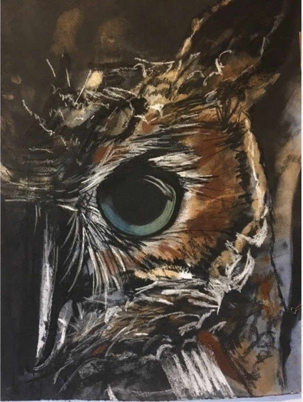 Close-up of a colorful painted cat's face, focusing on the eye, with expressive brushstrokes and a mix of black, brown, white, and teal colors.