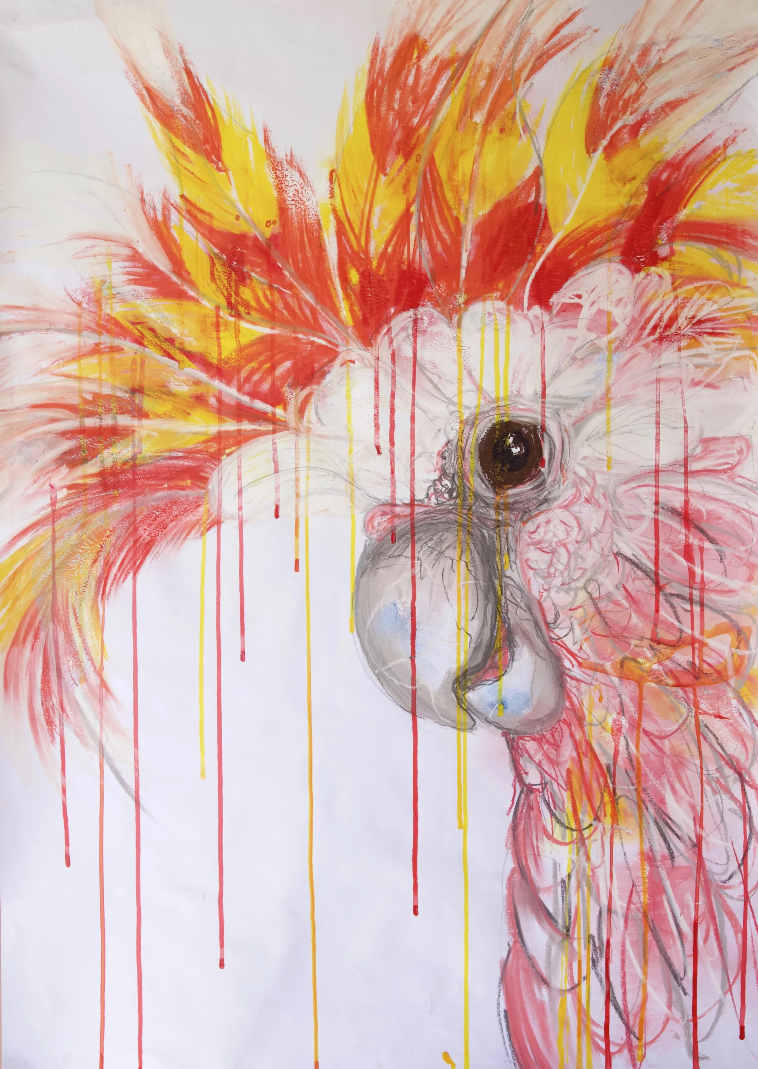 An abstract painting with vibrant red, yellow, and orange brushstrokes resembling fire or feathers, with dripping paint effects on a white background, and a central eye-like black and white shape surrounded by sketchy gray and red lines.