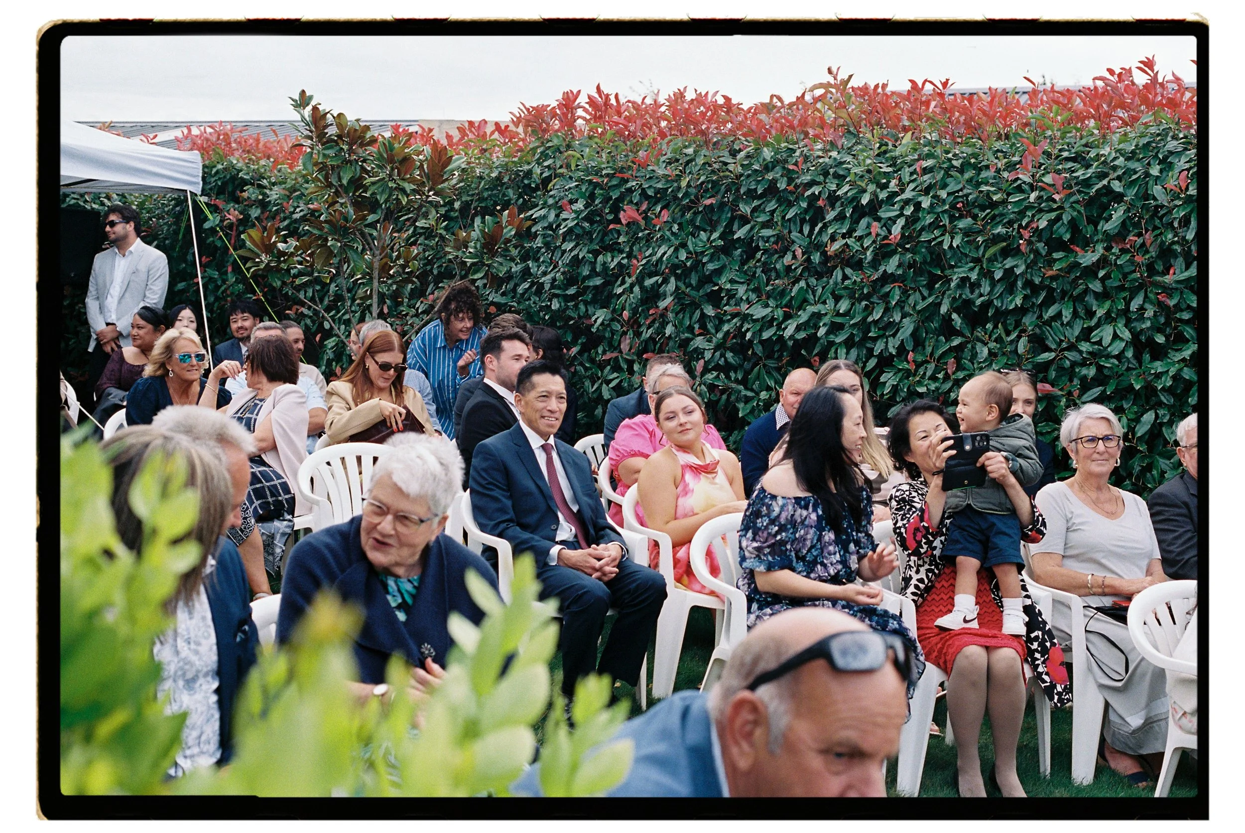 Film + Digital Wedding Photographer Christchurch - Backyard Wedding, Christchurch, Canterbury, New Zealand. Film photo of guests seated during backyard wedding ceremony, with a green leafy hedge and red foliage in the background.