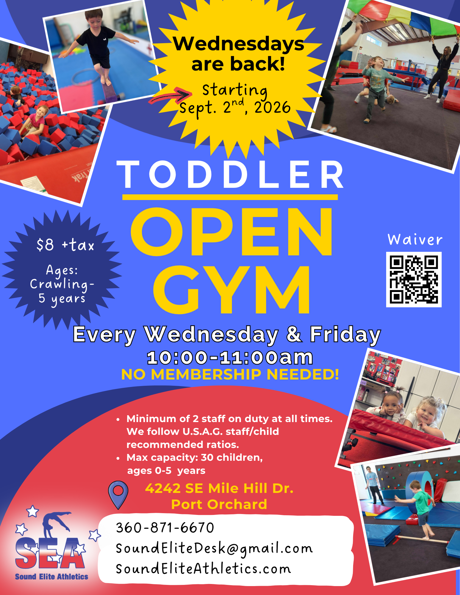 Toddler Open Gym 
