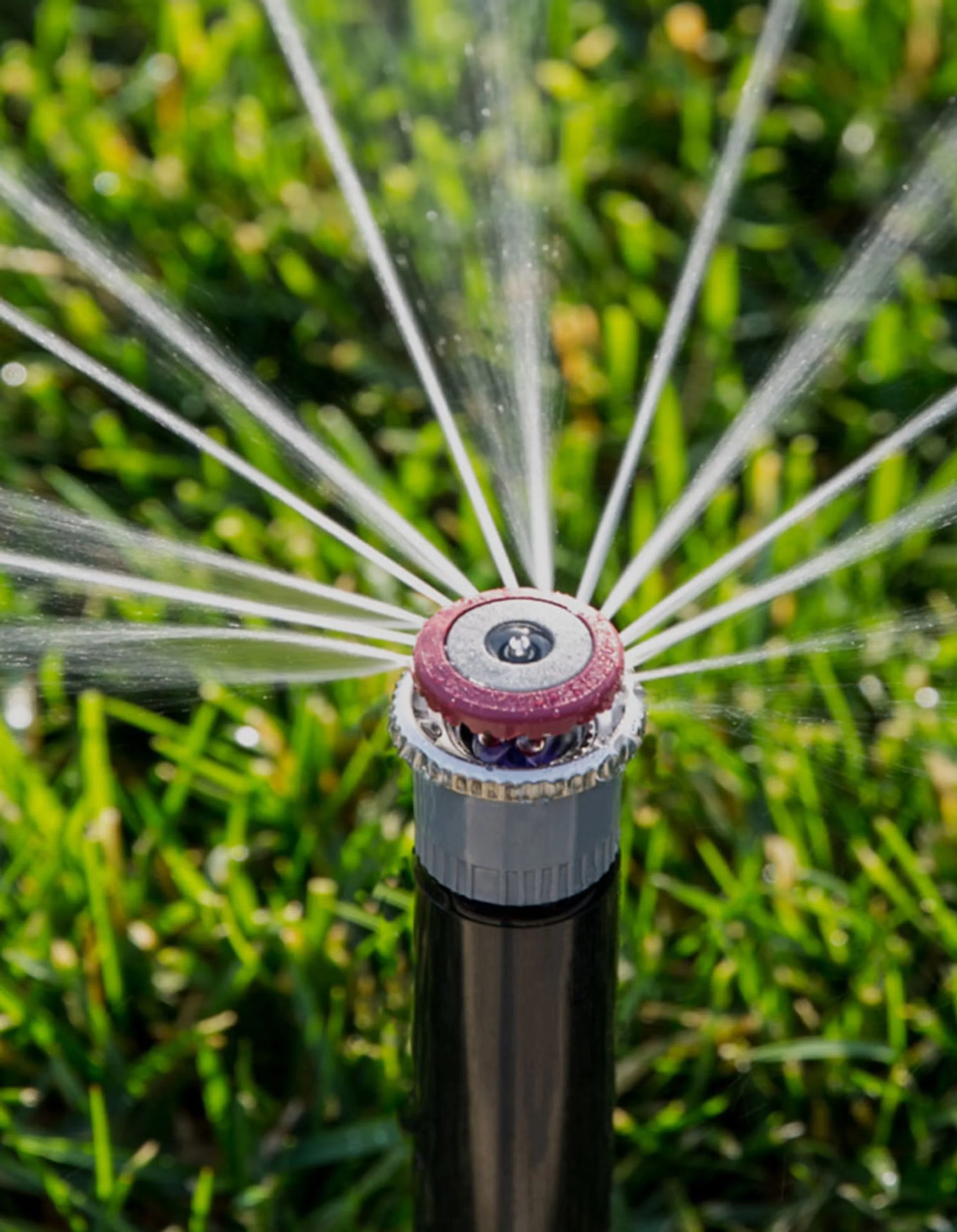 Close-up of a garden sprinkler spraying water over green grass.