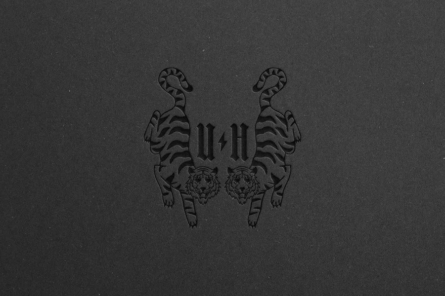 essentials branding design package at pink tiger creative brand and web design studio in las vegas, nv