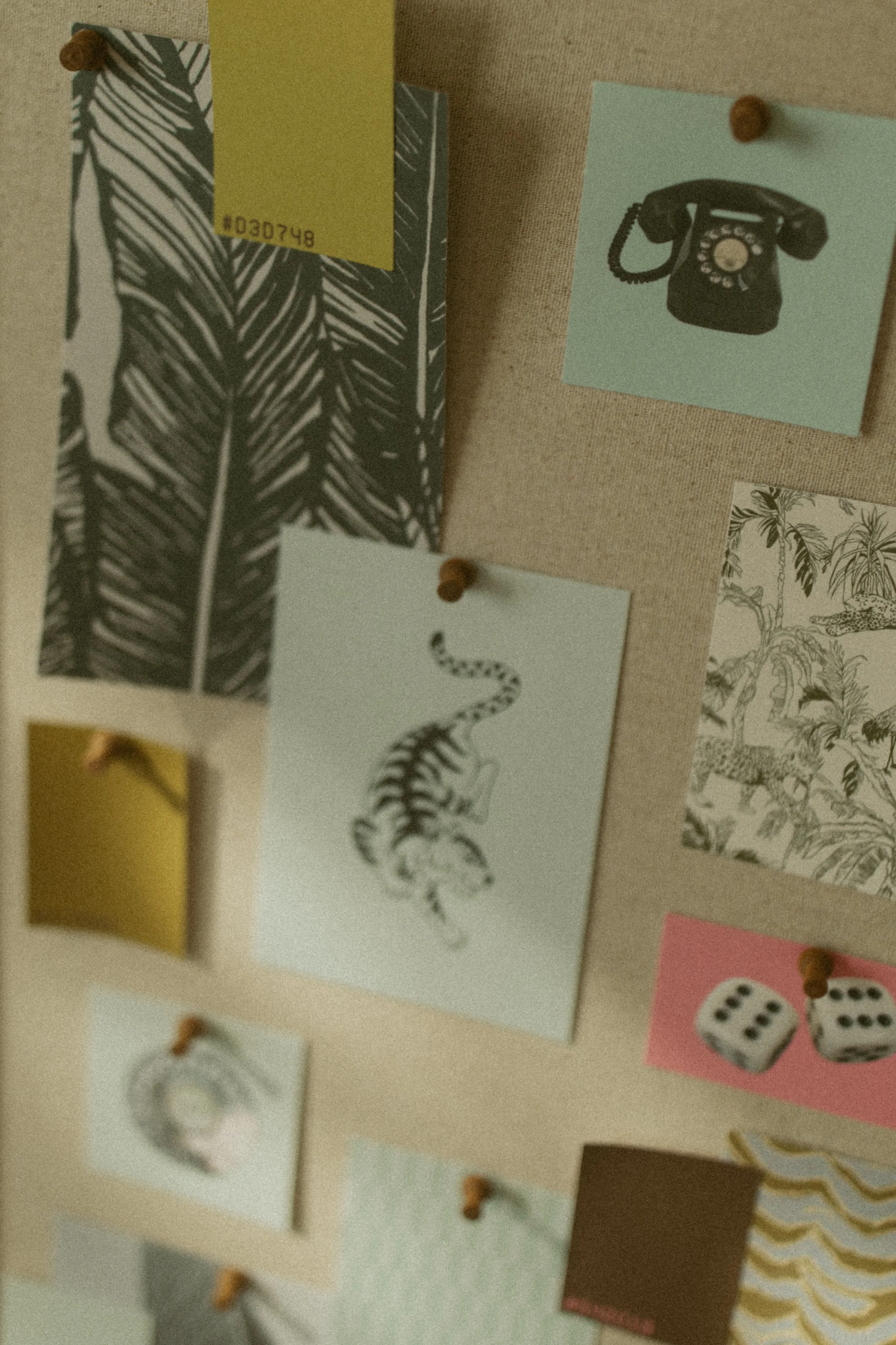 pink tiger creative brand and website design studio based in Las Vegas, Nevada. Custom branding and squarespace website design.