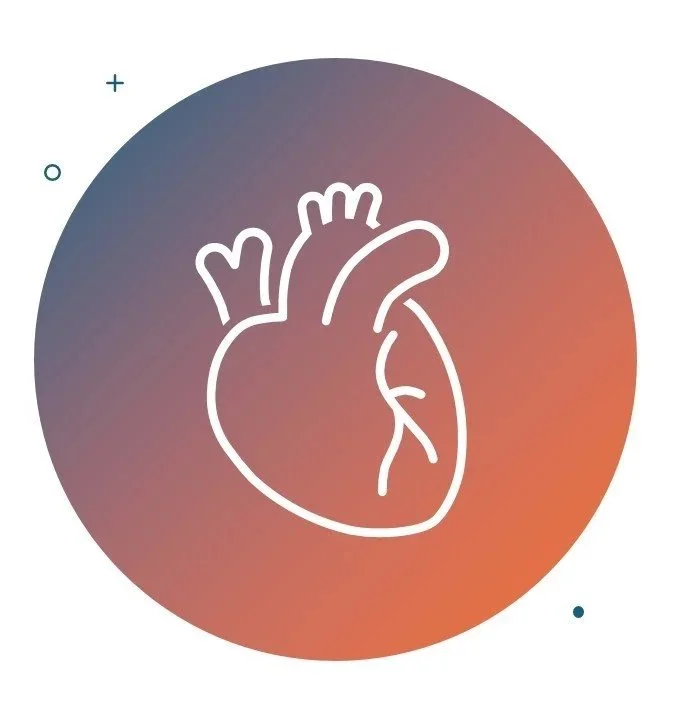 A line drawing of a human heart inside a circular gradient background.
