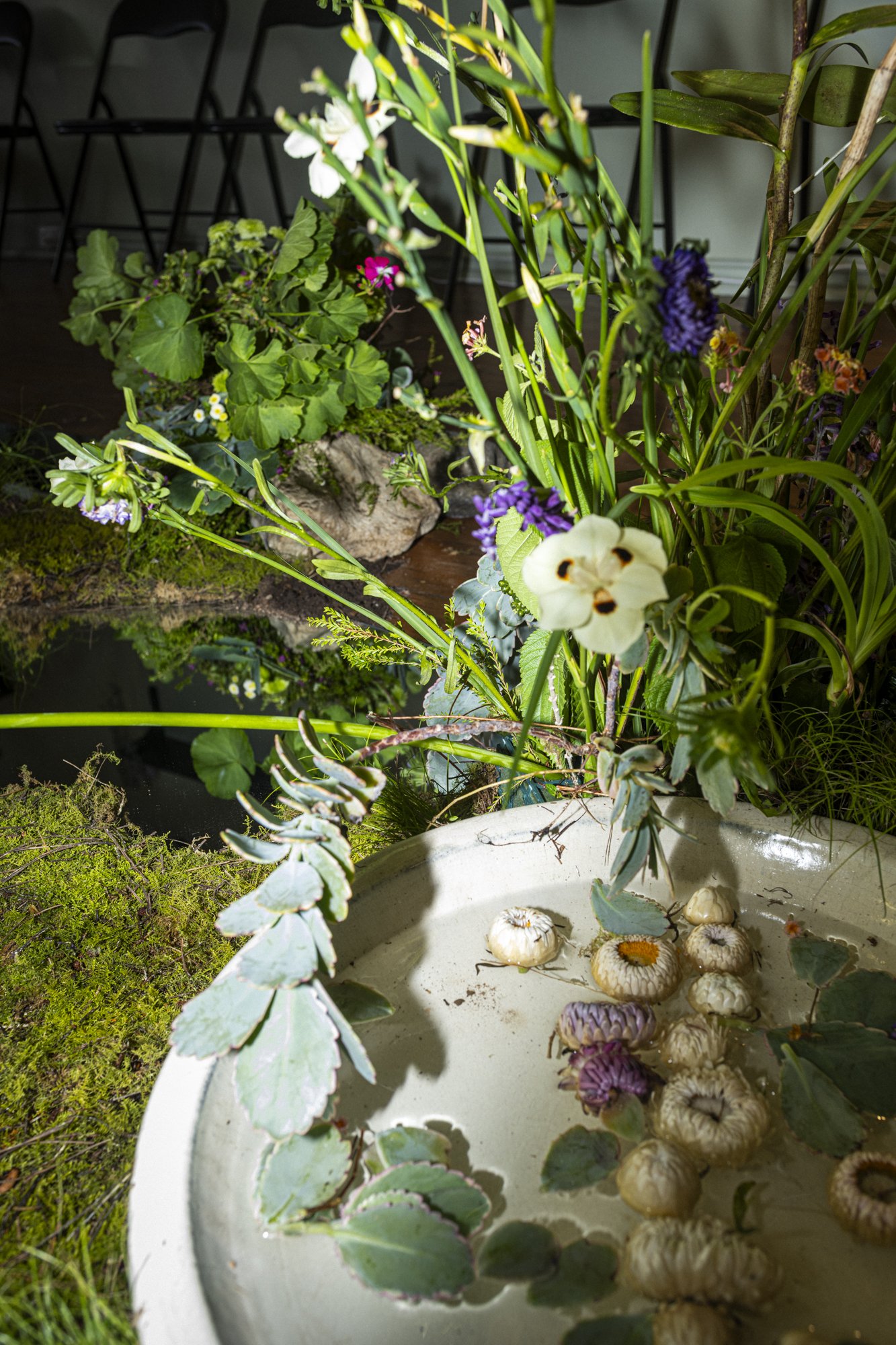 Immersive Event Installations