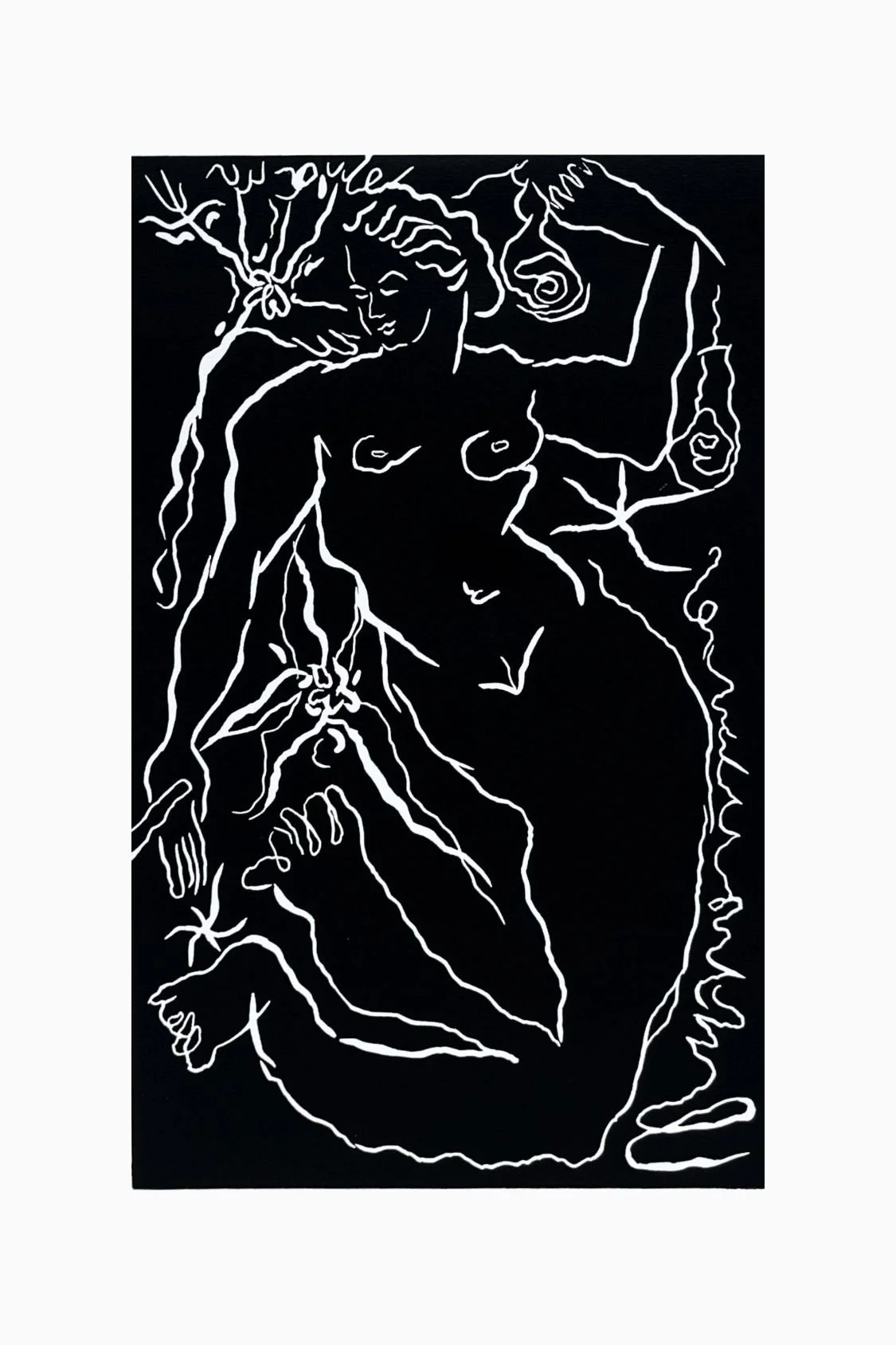 Siren VII
