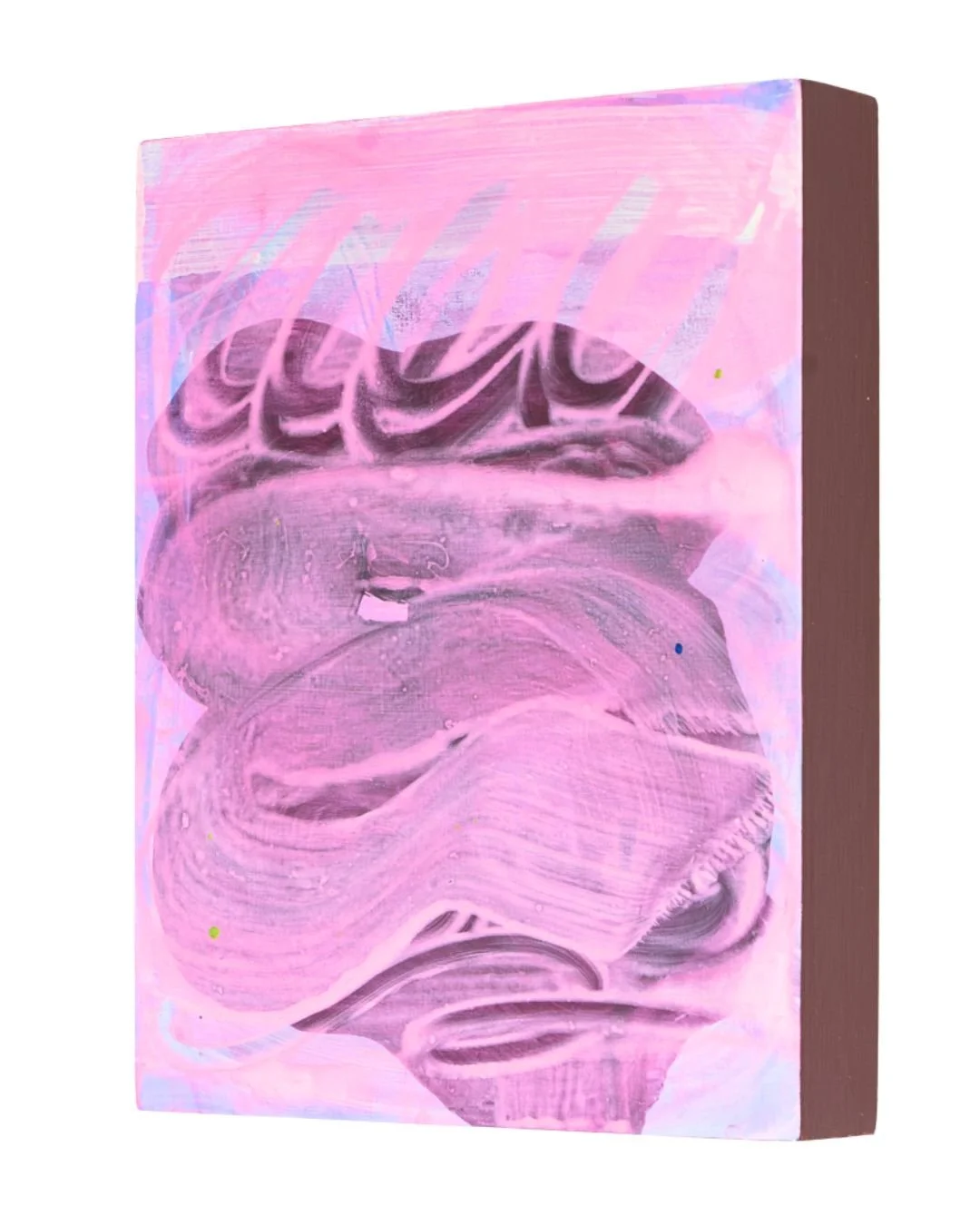 Curiosity Communing With Indignity