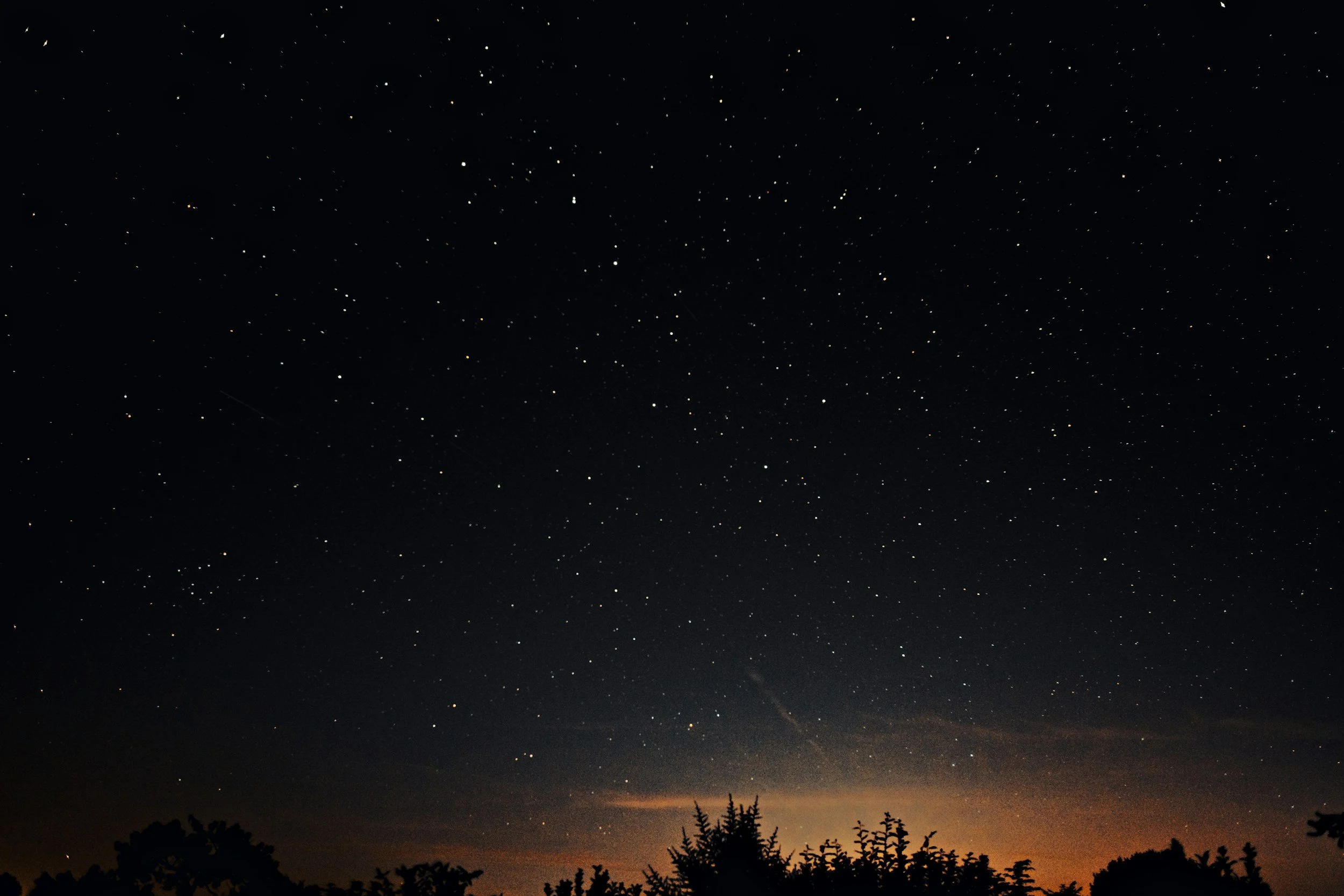 Night sky filled with numerous stars above silhouetted treetops at dusk.