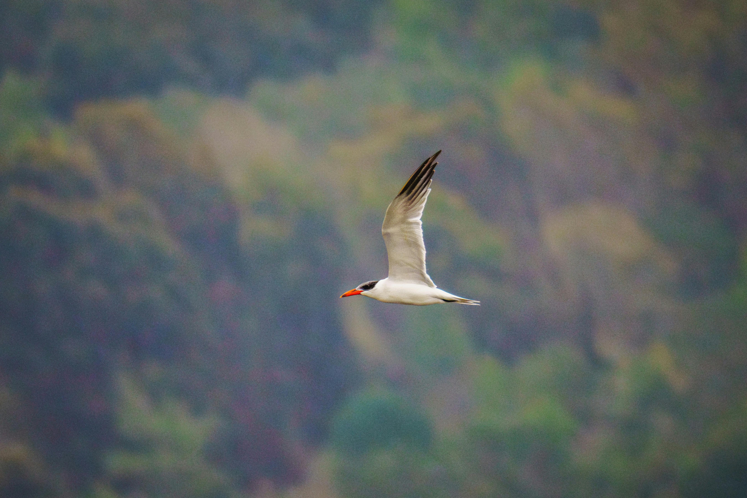 Why Your Brain Feels Like It’s Always in Fight or Flight