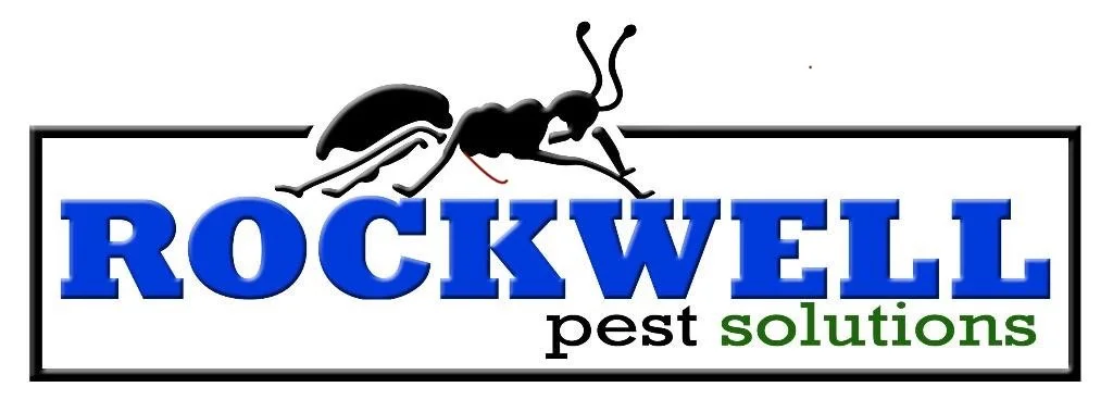 Rockwell Pest