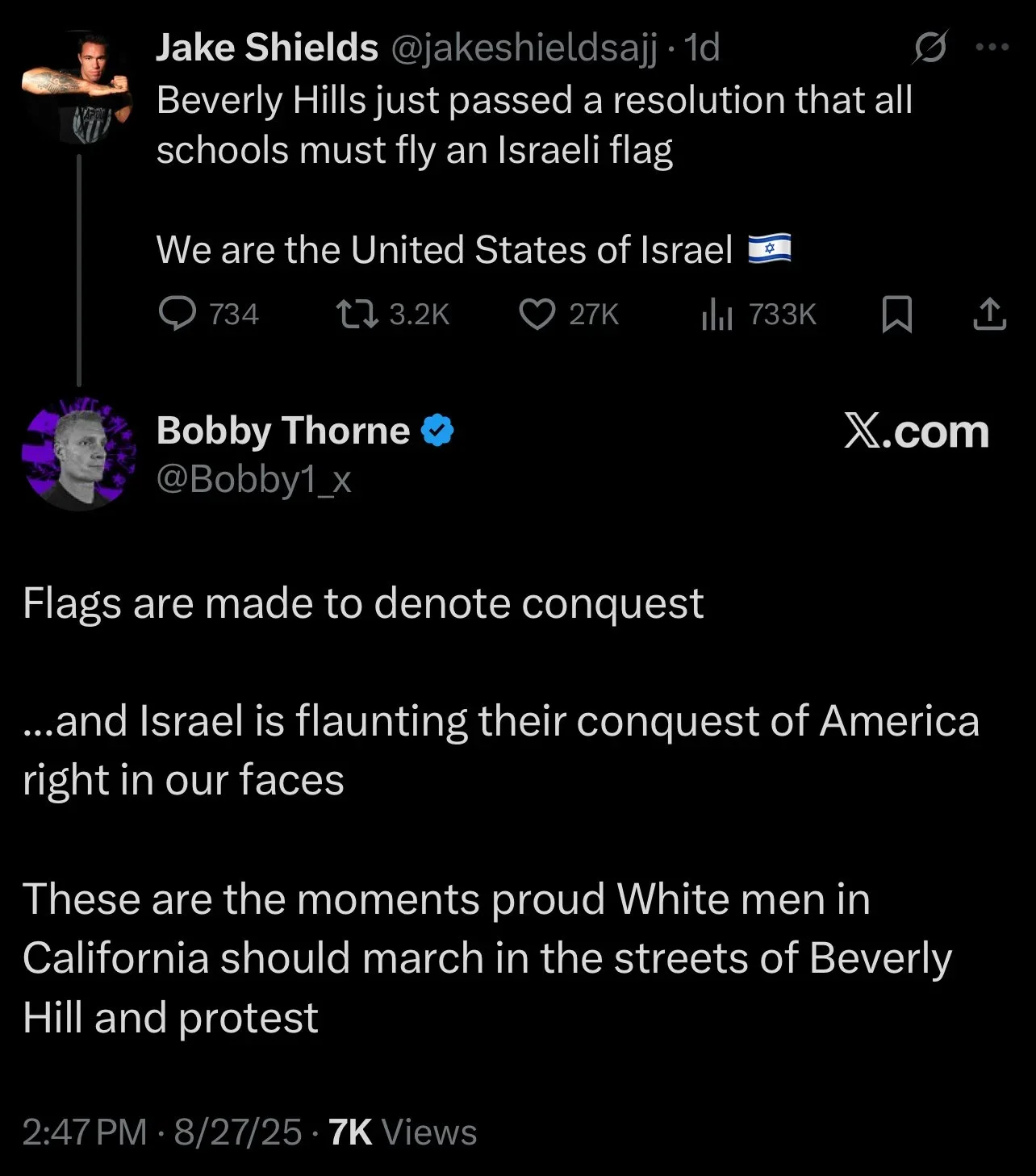 flag_backlash_02.webp