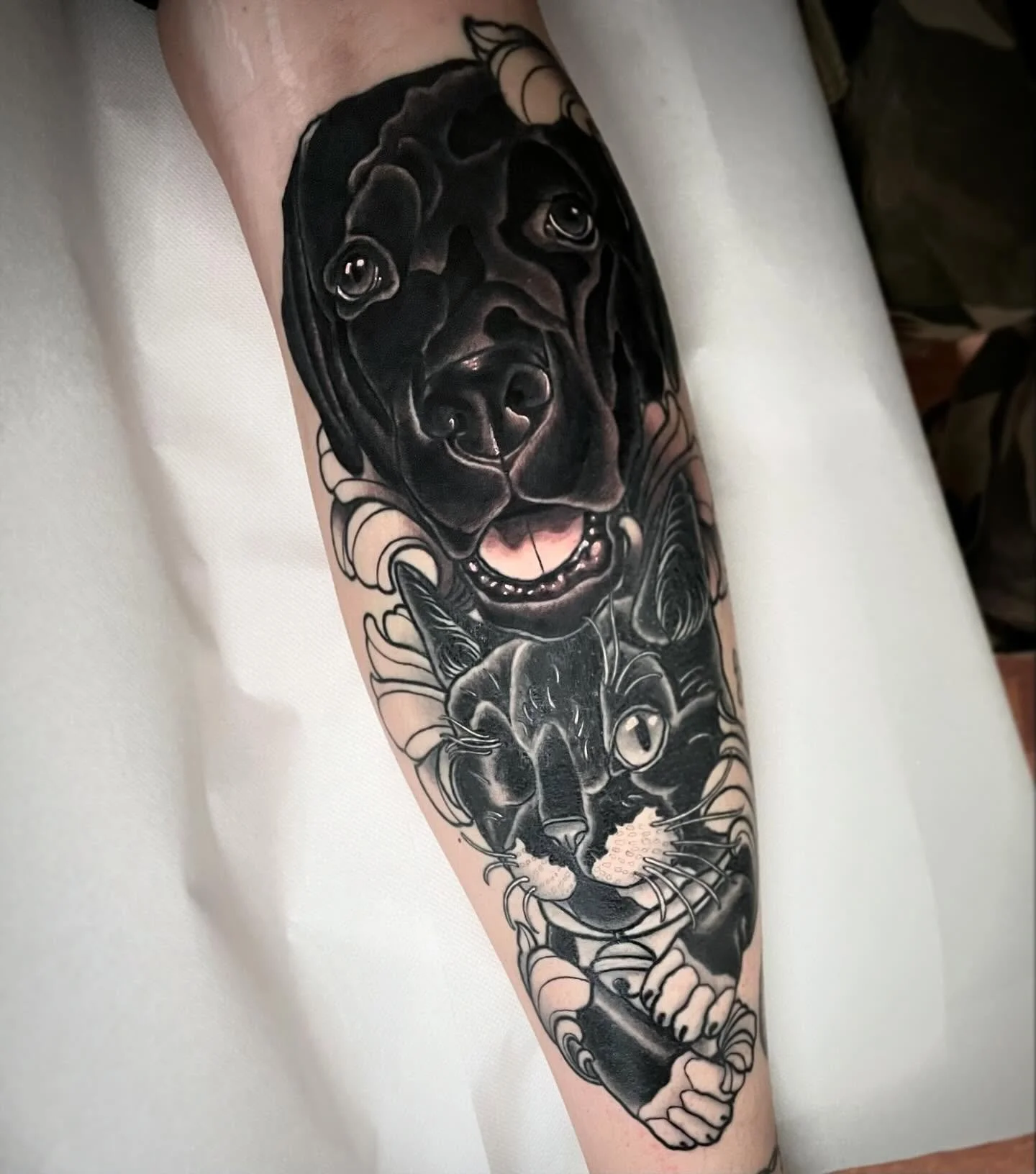 &bull; FUR KIDS &bull; Flesh black Labrador &amp; healed (still settling) kitty cat 🐈&zwj;⬛ My books are open!! DM to book💌