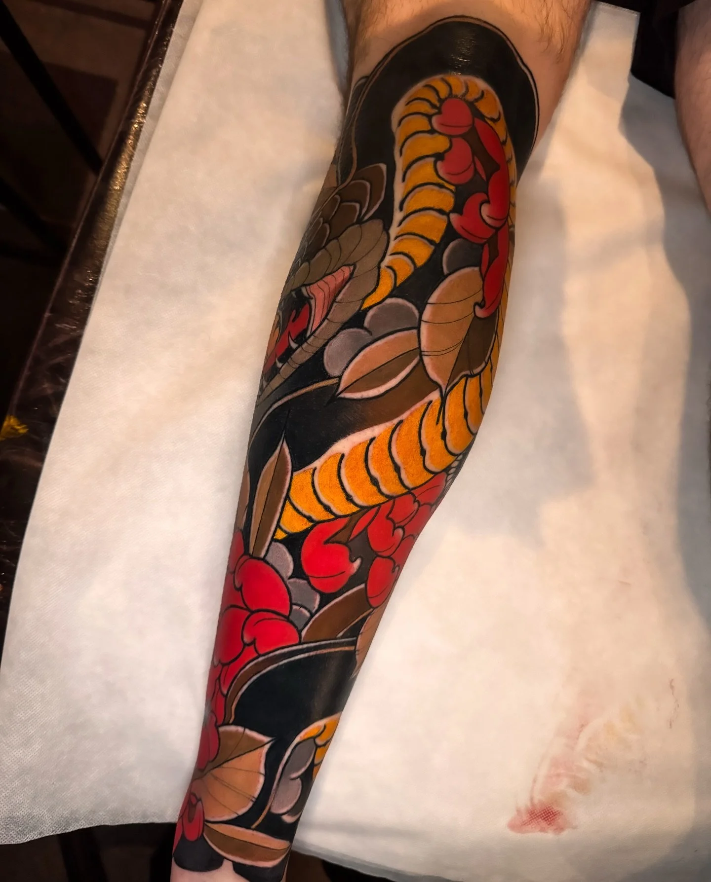 ❖ SNAKE ❖

Finished this one in 2 sessions on @lukav.03 ! Thanks for taking it like a champ ! Blacks and lines healed 😁

DM and book now for 2026 🫶🏼

Done at @cobragoldtattoo using @vladbladirons @killerinktattoo @emalla.official @skin_master_ink 