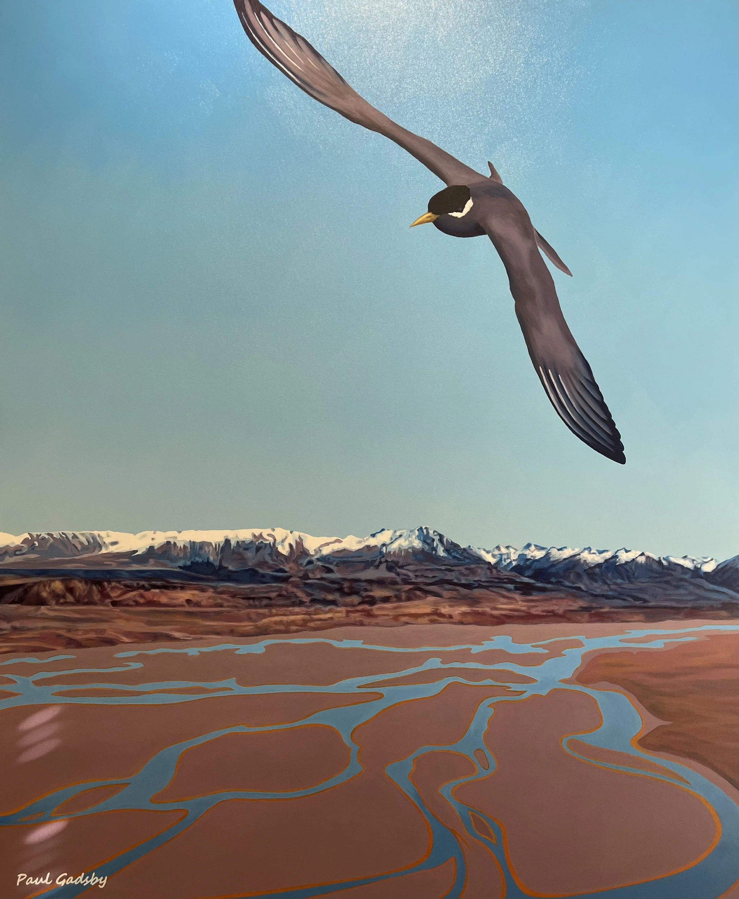 Black Fronted Tern Rakaia  2021  Oil  $1495