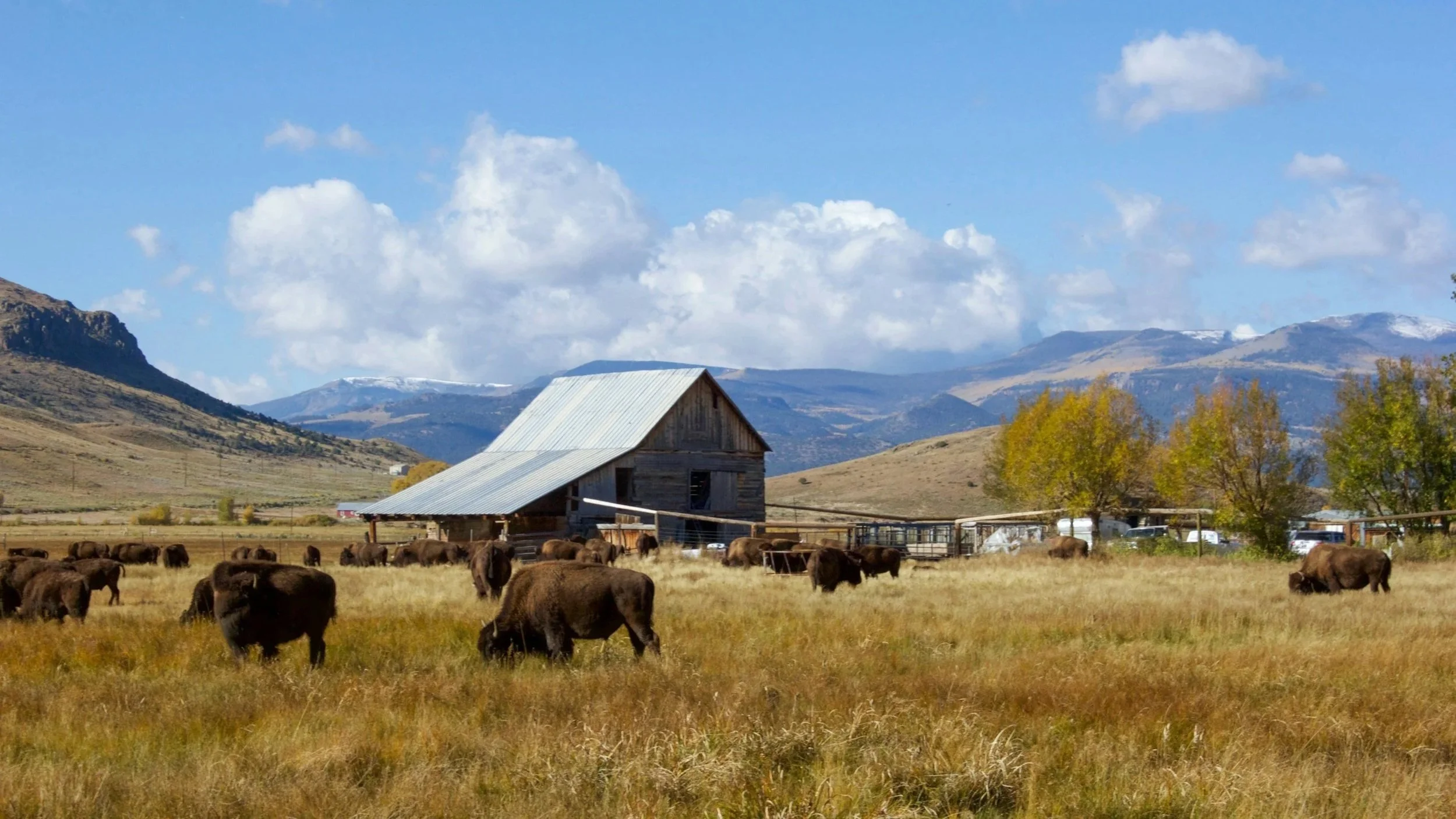 A farm landscape with a barn, cattle grazing, trees with fall foliage, and mountains in the background under a partly cloudy sky.
