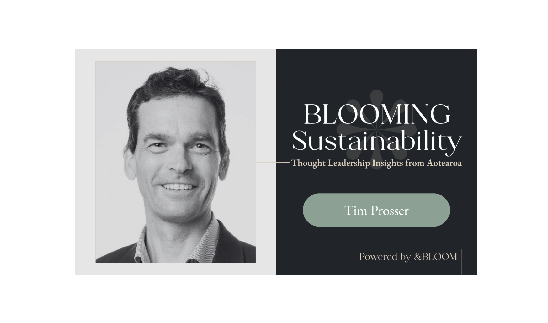 The Cloud Has Weight: My Feature in Blooming Sustainability Edition 58