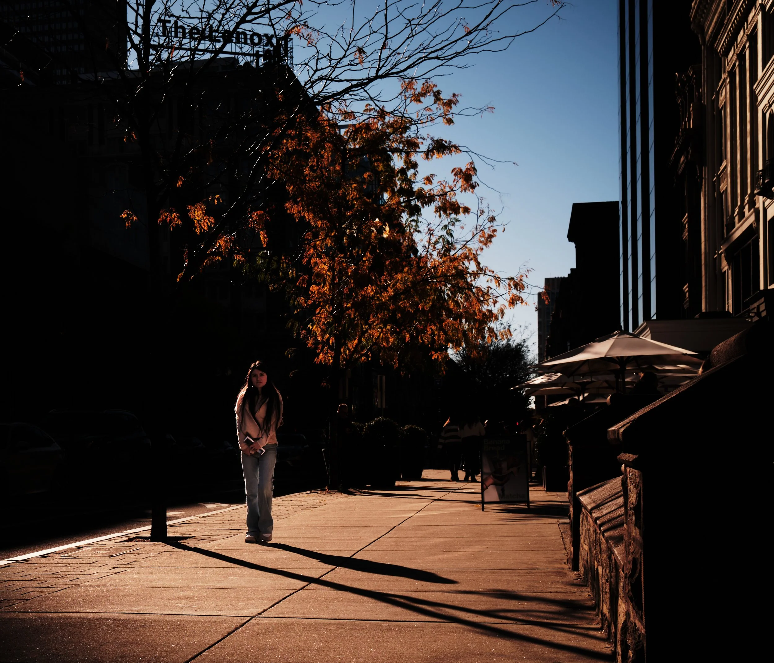 X1003099_4.jpg