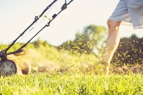 Persona cortando césped con máquina cortadora en un jardín al aire libre.