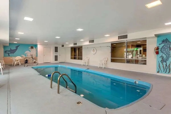 Piscina cubierta en un espacio con decoraciones marinas, incluyendo un tiburón y un caballito de mar en las paredes.