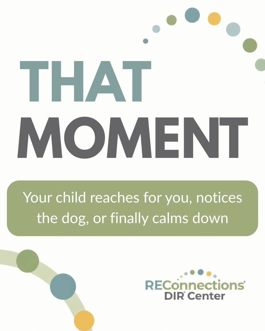 Swipe through and you'll probably recognize your child in every single one of these moments. That's the point.

The Functional Emotional Developmental Capacities aren't a diagnosis tool, they're a lens for seeing what your child IS ready for, not wha