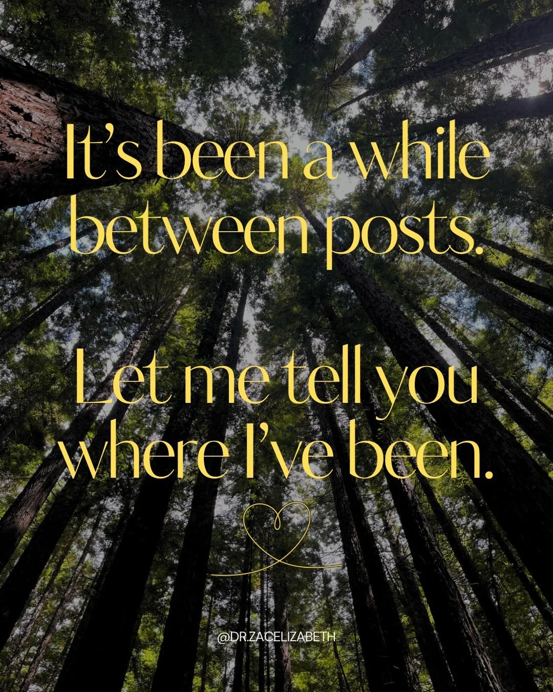 It&rsquo;s been a while since I&rsquo;ve posted something here &amp; thought it was time for an update. 
I&rsquo;ve been quietly working on a few projects in the background and focusing on the beauty of real world connections. 

As I turn my energy m