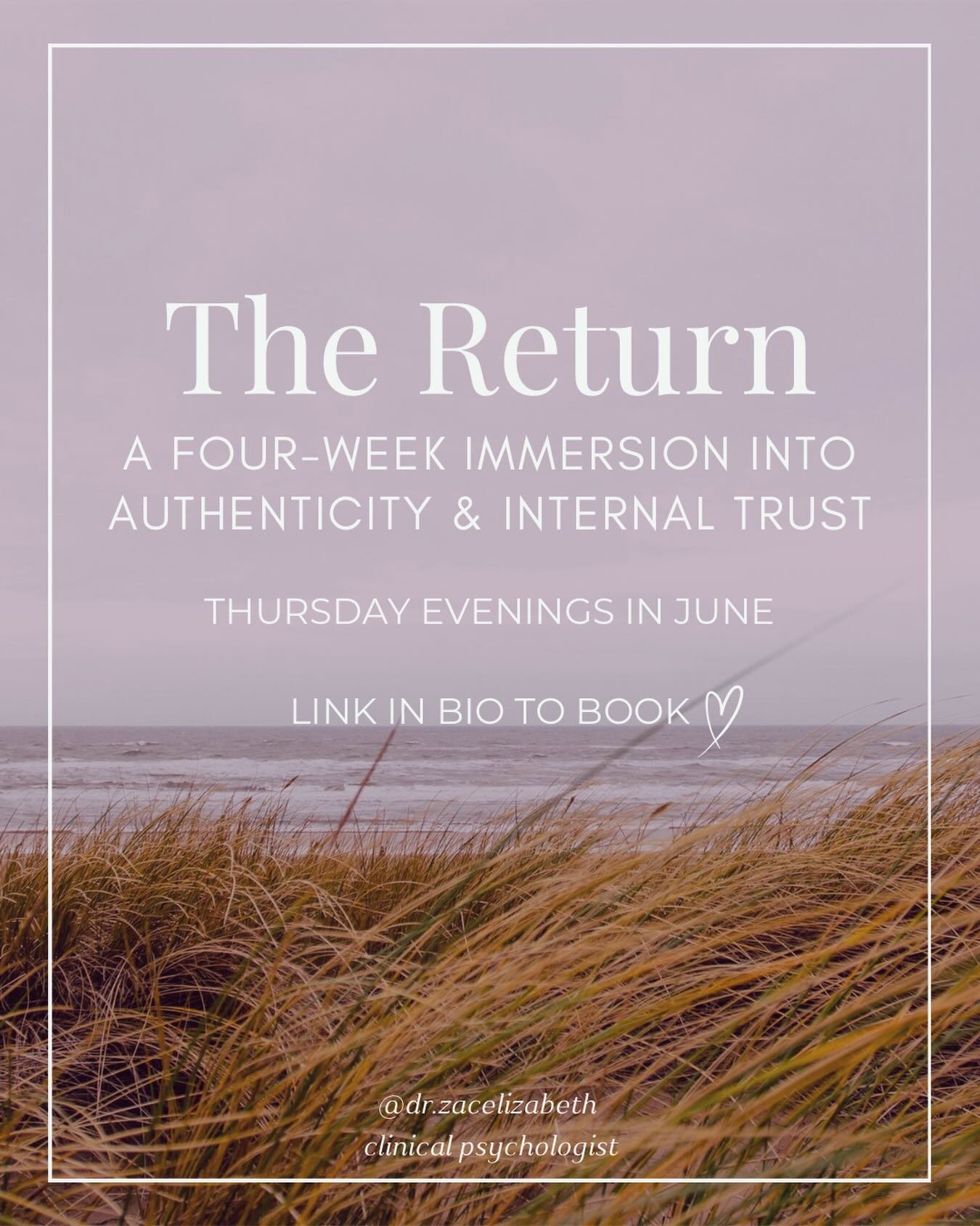 As we make our decent into the darker, quieter months of the year, it brings an opportunity and permission to turn inwards, to reflect and prepare our roots for what lies ahead. A pause to take stock and be intentional with how we want to spend our e