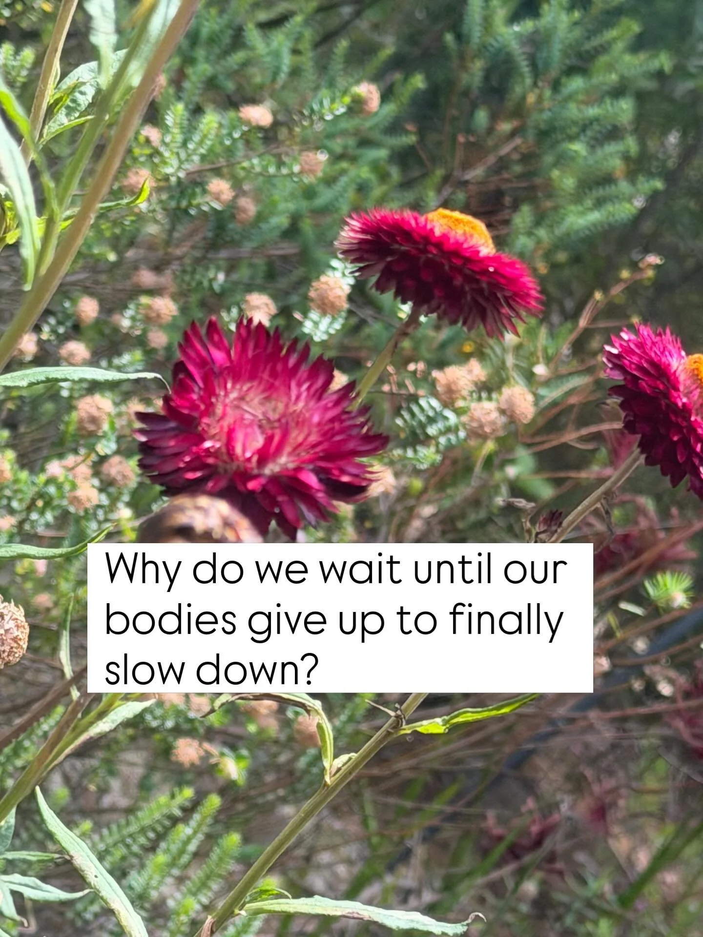 Nature doesn&rsquo;t skip winter. Why do we?

As we cross the threshold into winter this Monday, I&rsquo;m reflecting on how easily we override our own cyclical nature. We treat rest like a reward we have to earn at the finish line of exhaustion, rat