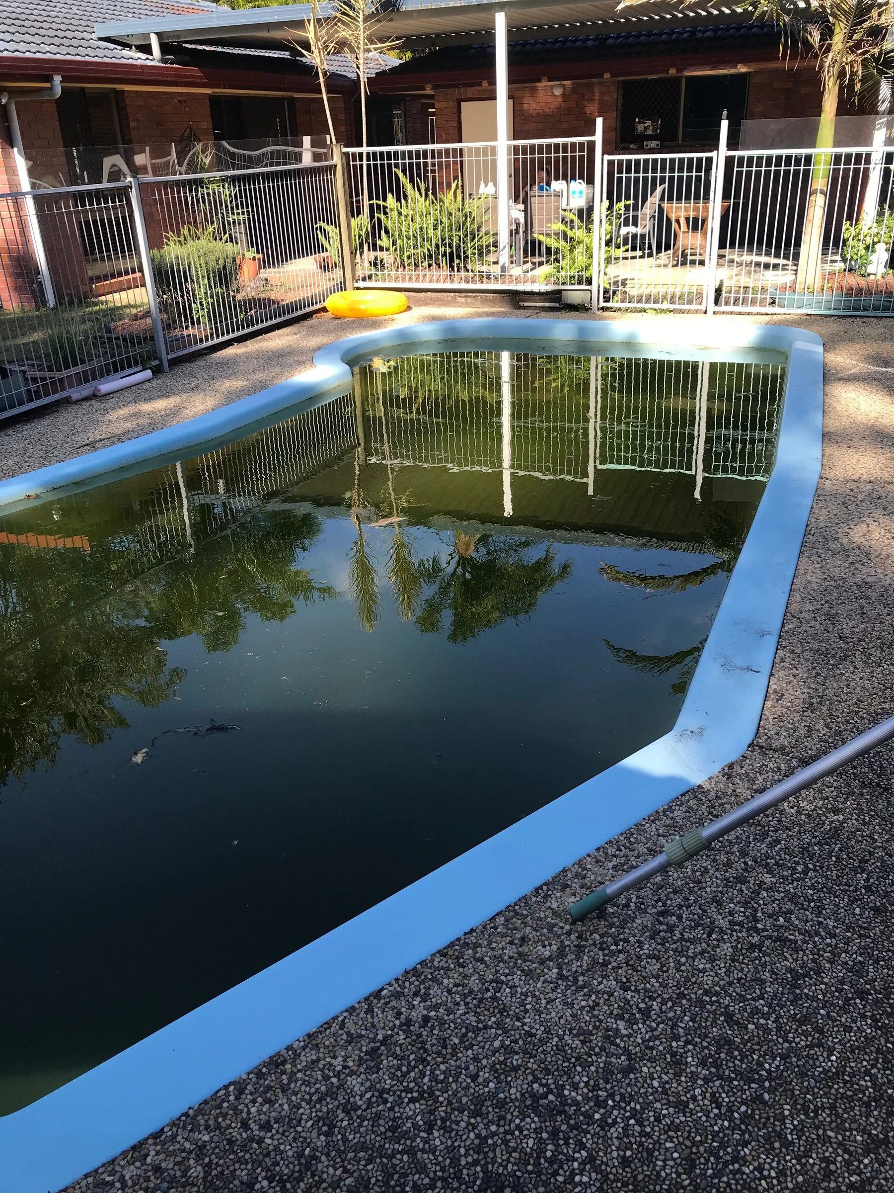 Backyard swimming pool in Mountain Creek with dark green water before treatment.